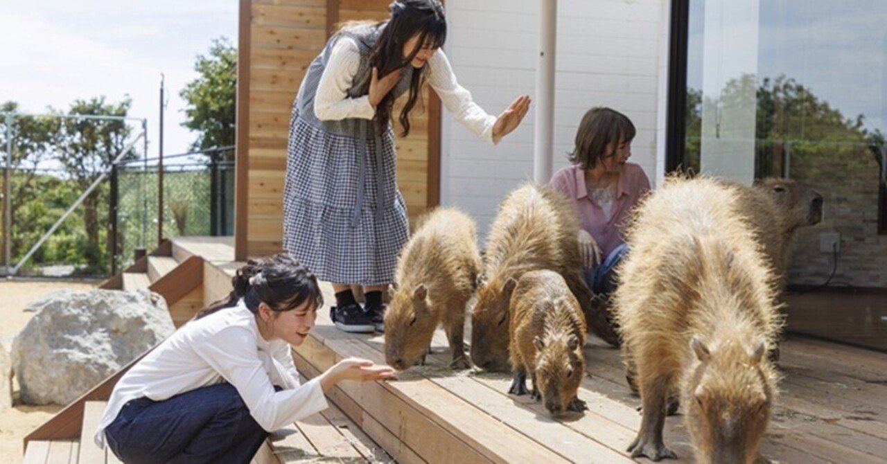伊豆リゾートヴィラに、カピバラと泊まれる「アニマルヴィラ＆BOOK