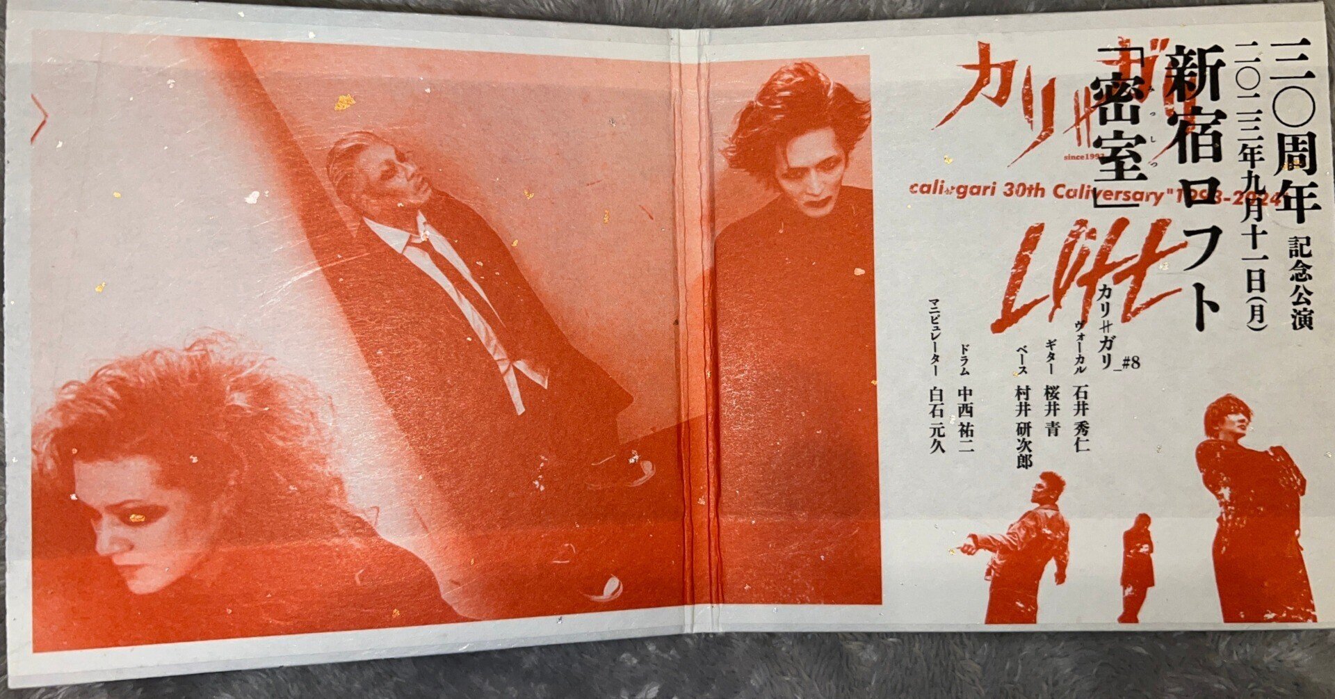 cali≠gari - カリ≠ガリの三〇周年 ライヴ音源集 DVD-ROM cali gari