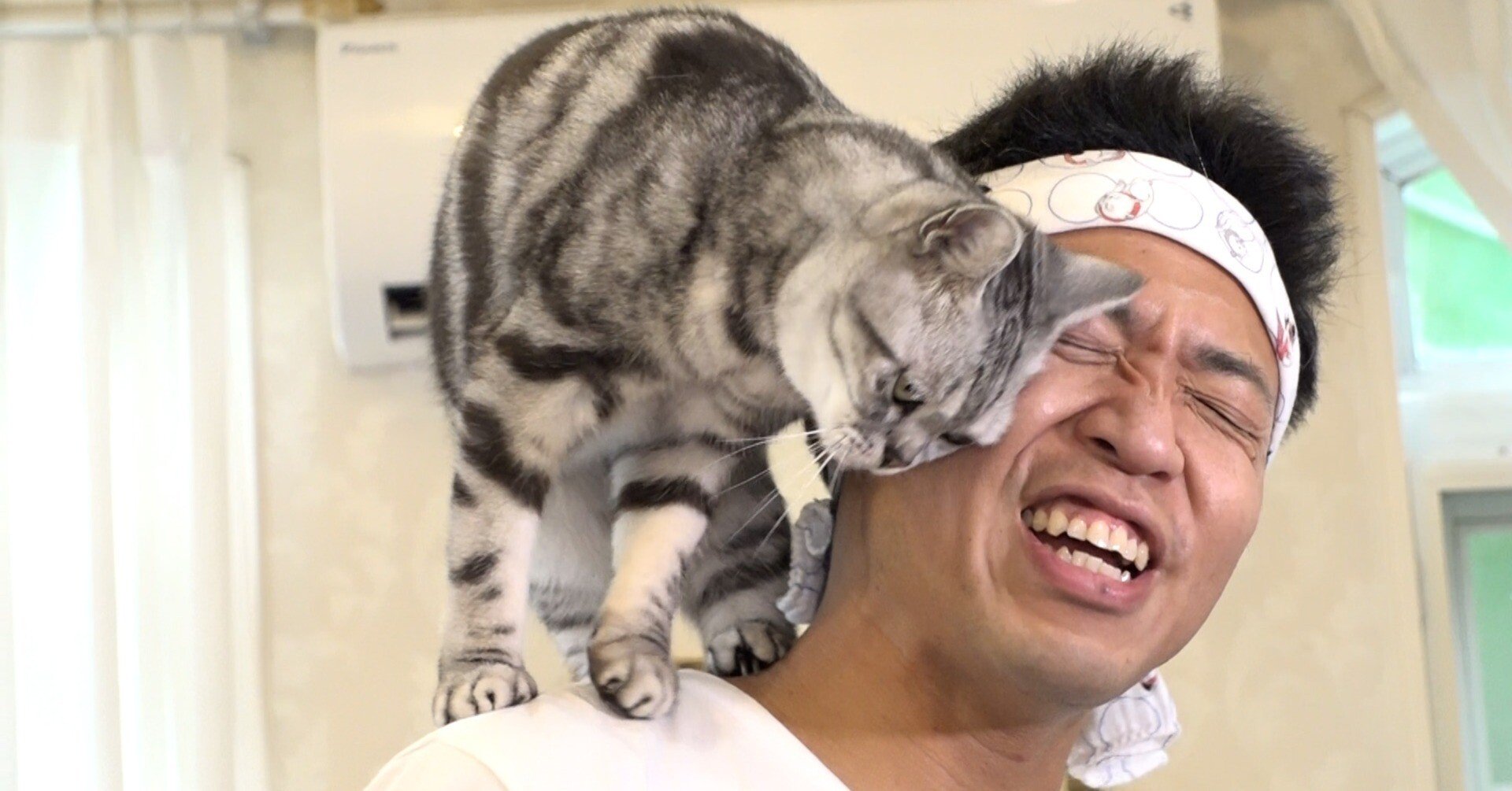 好き好き」されたサンシャイン池崎は…インスタグラム340万回再生