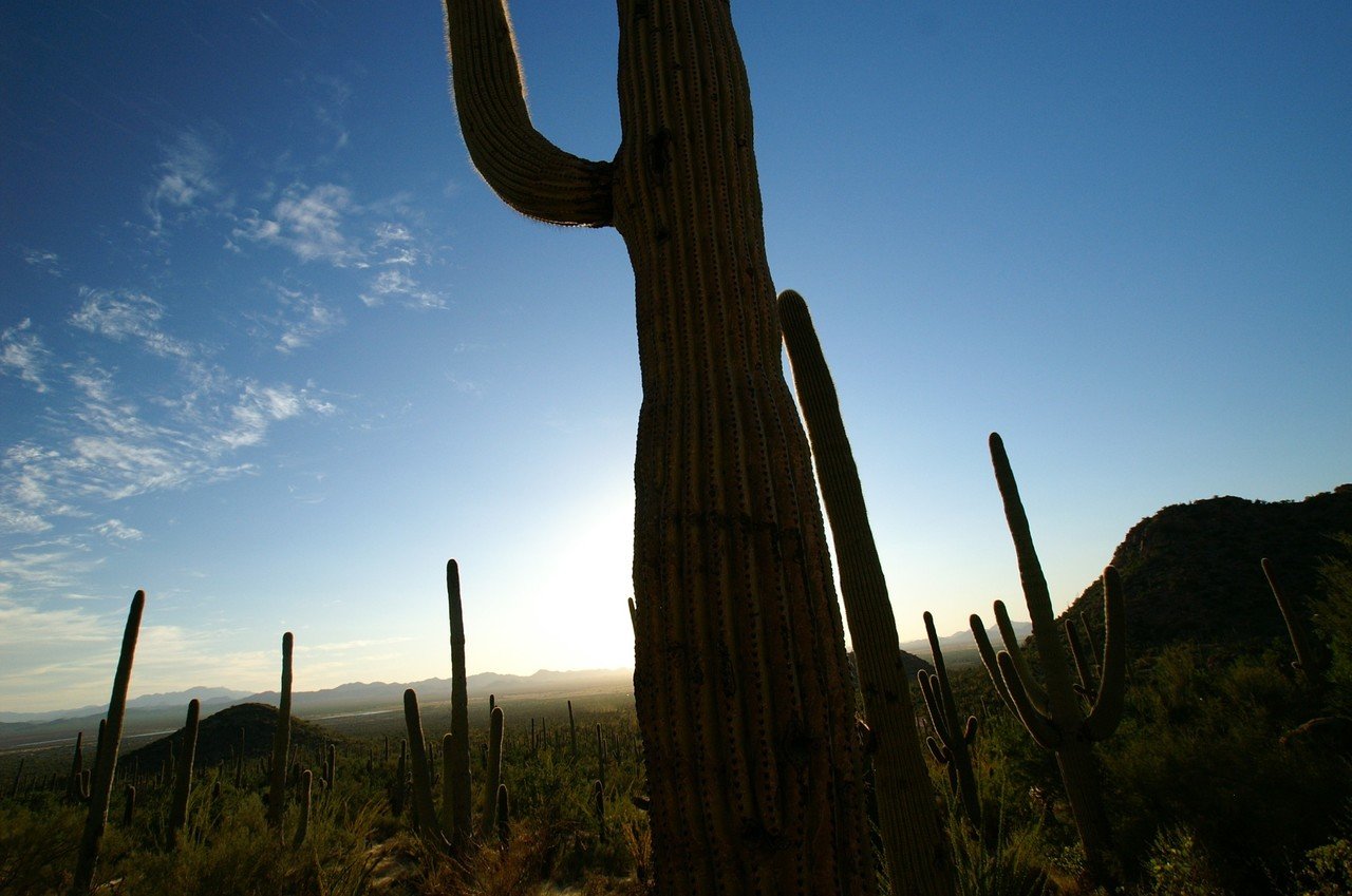 アメリカで出会った100の光景 No.31（大自然の絶景）人生を重ねてみ