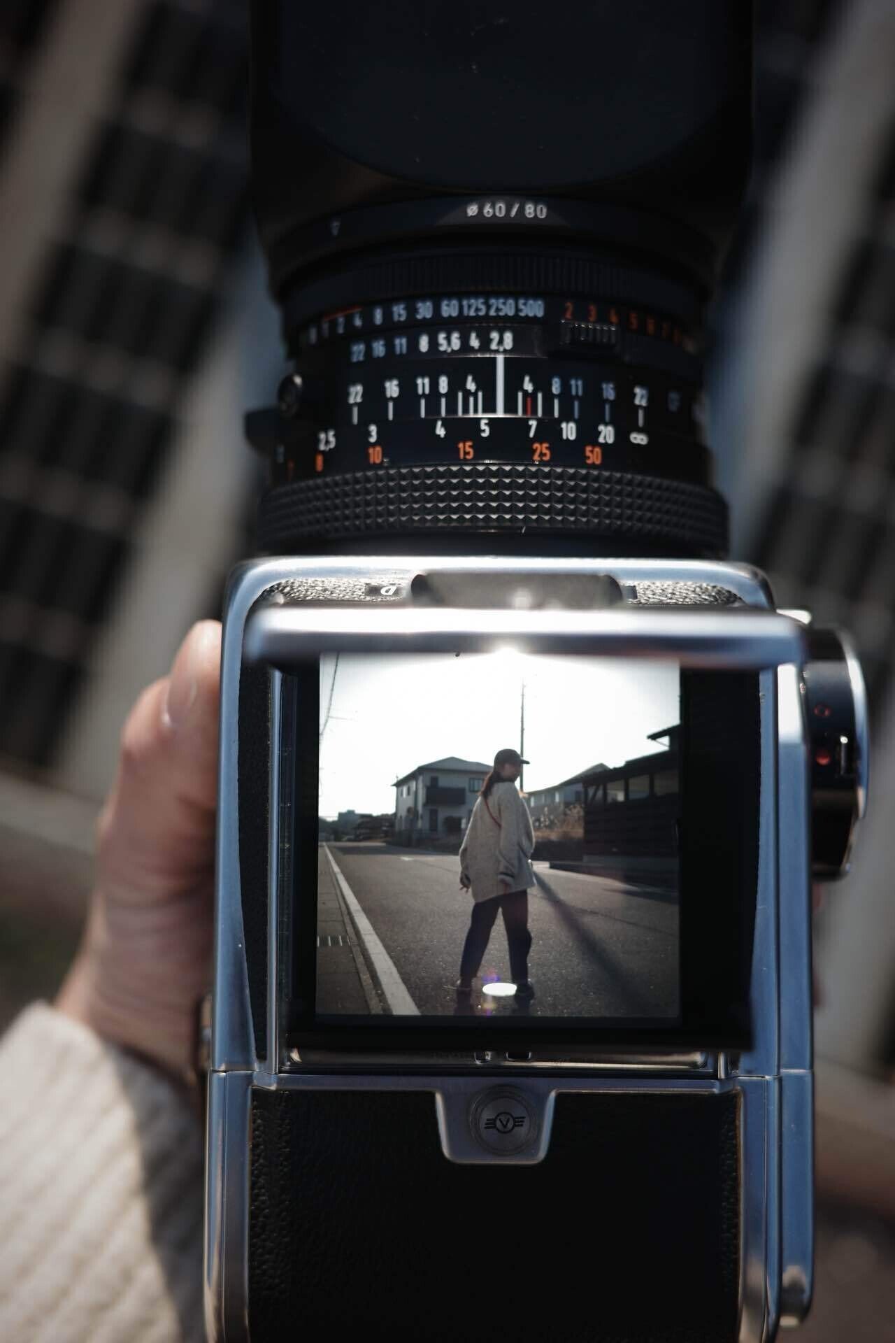 500C/M vol.1 我が家にHasselbladがやってきた｜ﾌｼﾞﾜﾗﾀｸﾐ