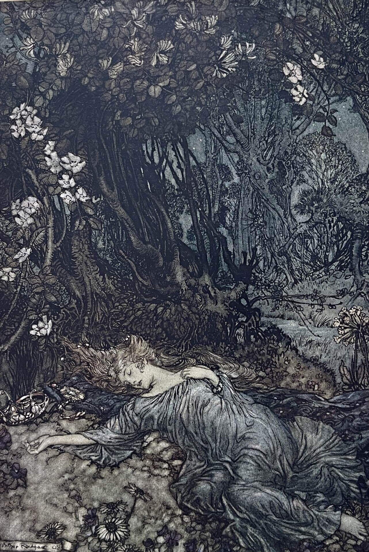 ウィリアム・シェイクスピア、アーサー・ラッカム『真夏の夜の夢』1908