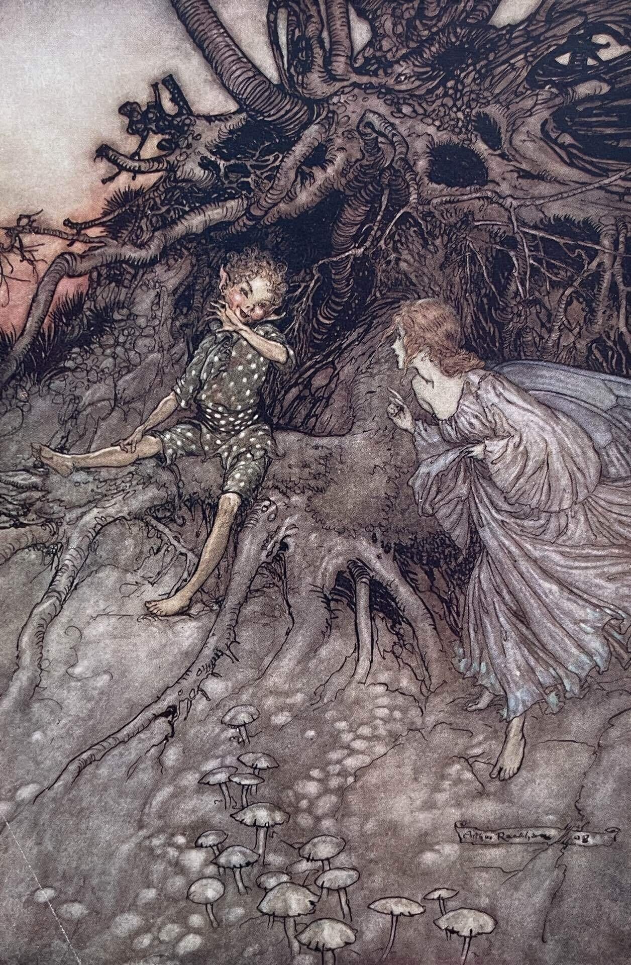 1908年 初版 アーサー・ラッカム 真夏の夜の夢 挿絵カラー40点 抜け