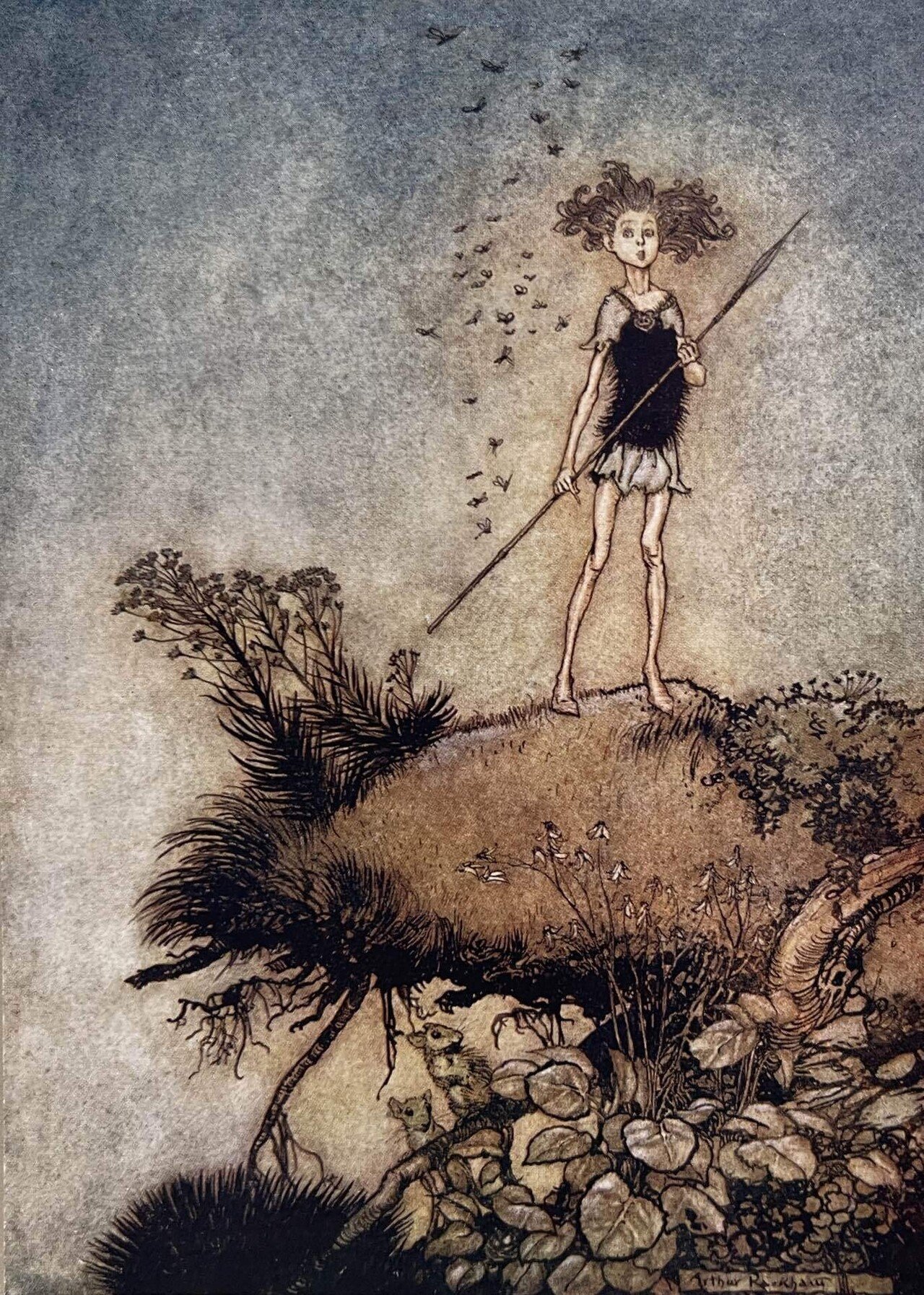 希少な初版 アーサー・ラッカム挿画『真夏の夜の夢』1908年 イラスト40