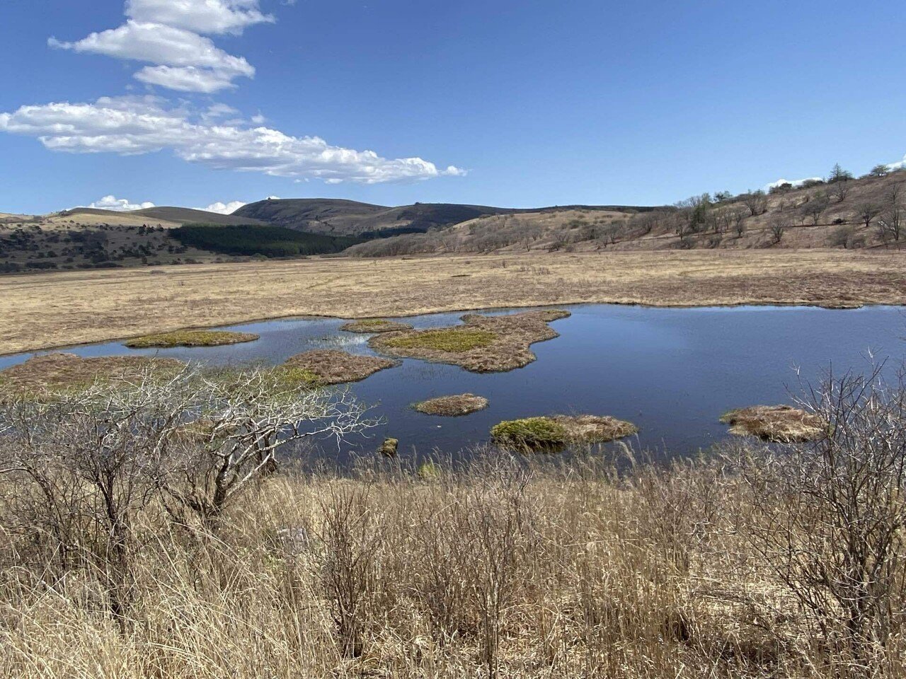 八島湿原(八島ヶ原湿原)｜之哲／Yuki Satoru