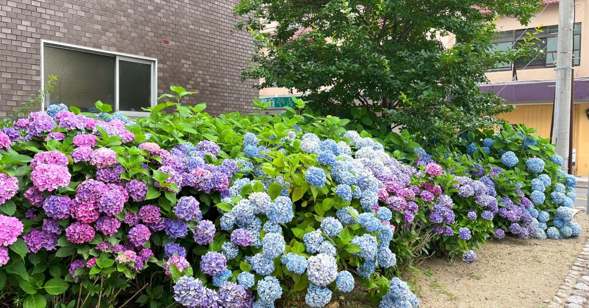 c7b97dd4745a8acff59e2c8649cf2f