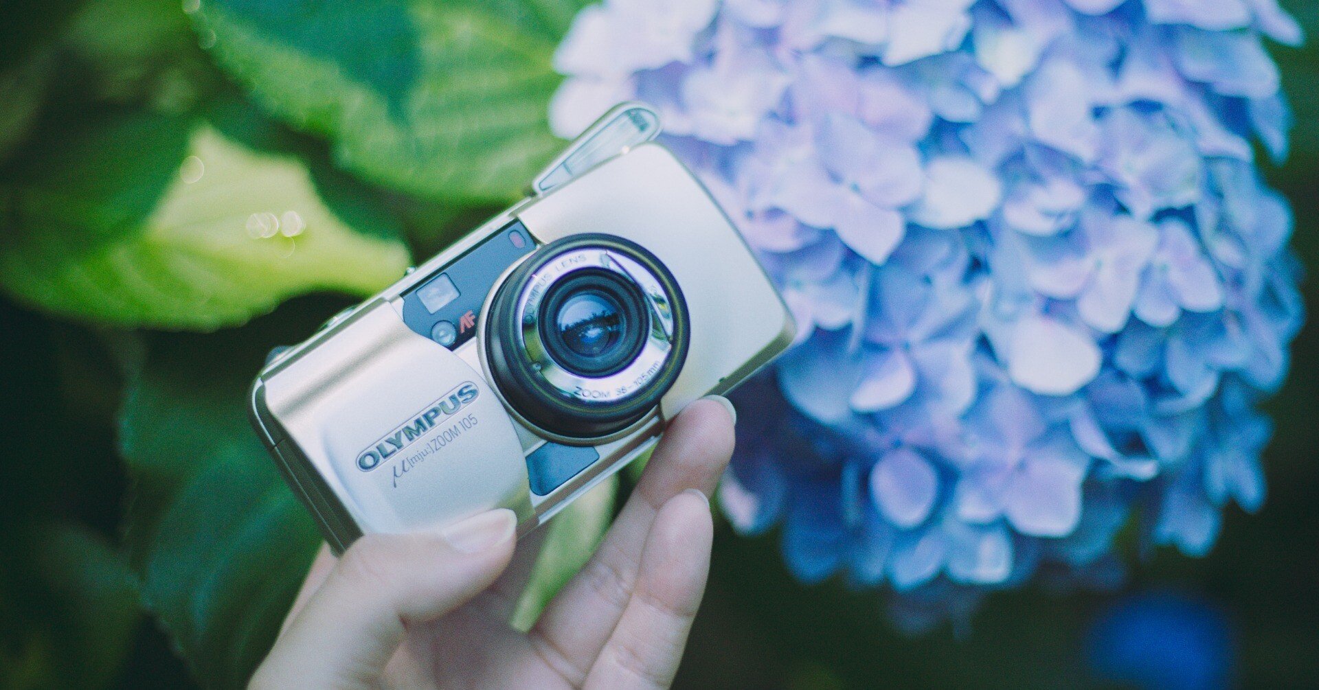 d242c3d9bd5e41bd4432a0b48972a6