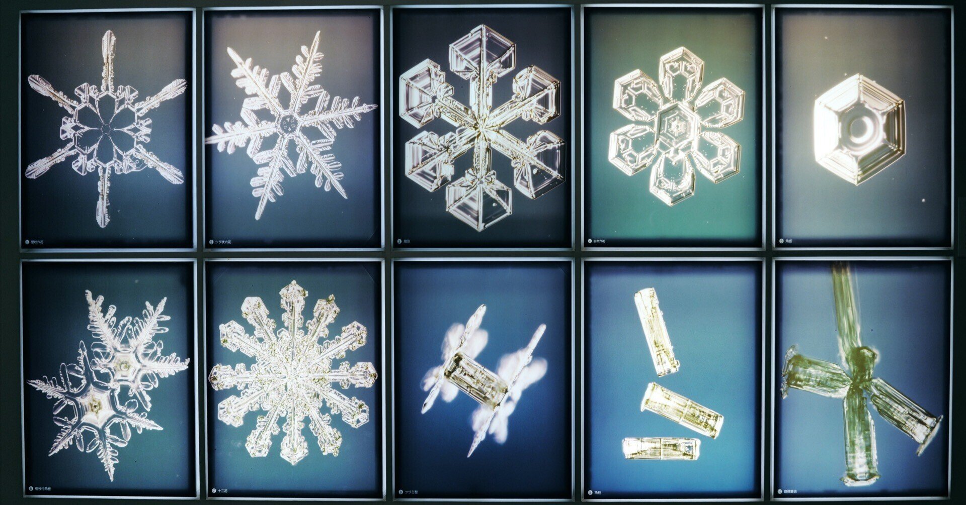 中谷宇吉郎 雪の科学館へ行く〈monologue62〉｜のりしろ太郎