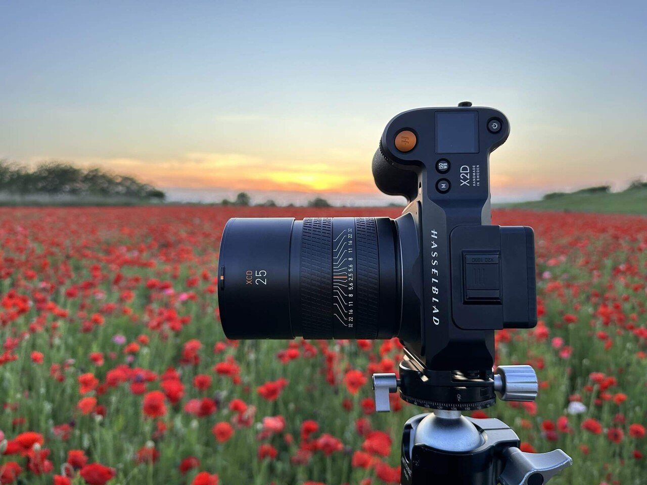 3 Hasselblad XCD 2,5/25V｜きくりん