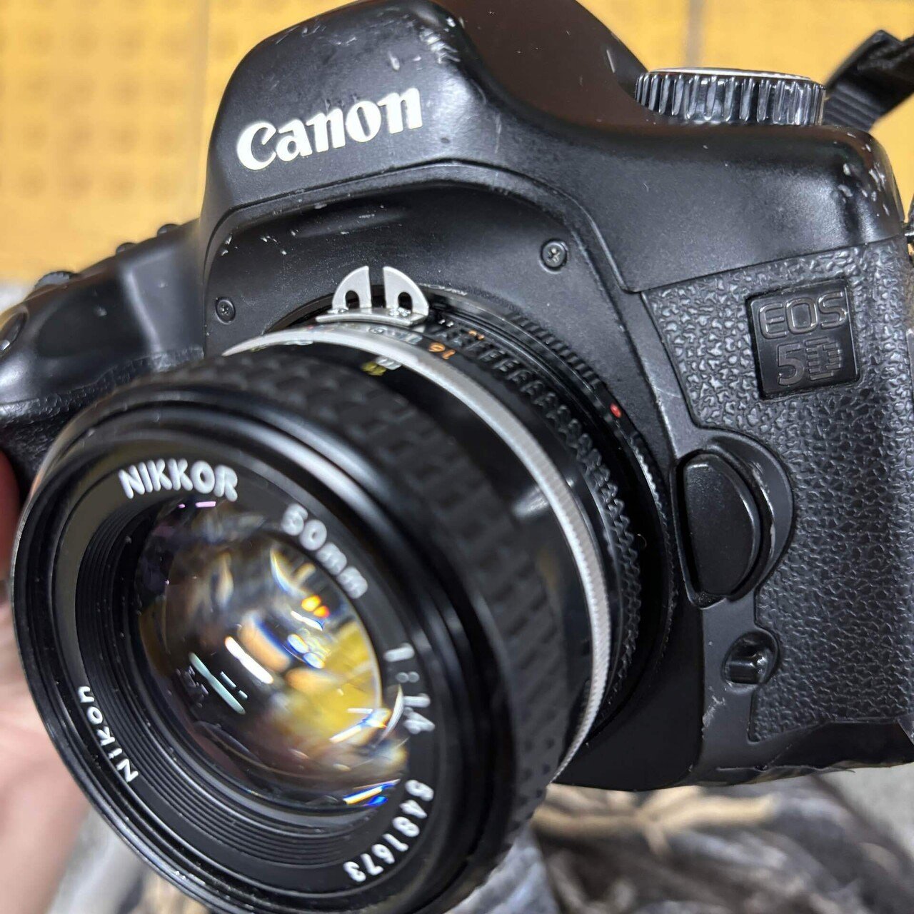 8800円のCanon EOS 5D初代｜けいふ