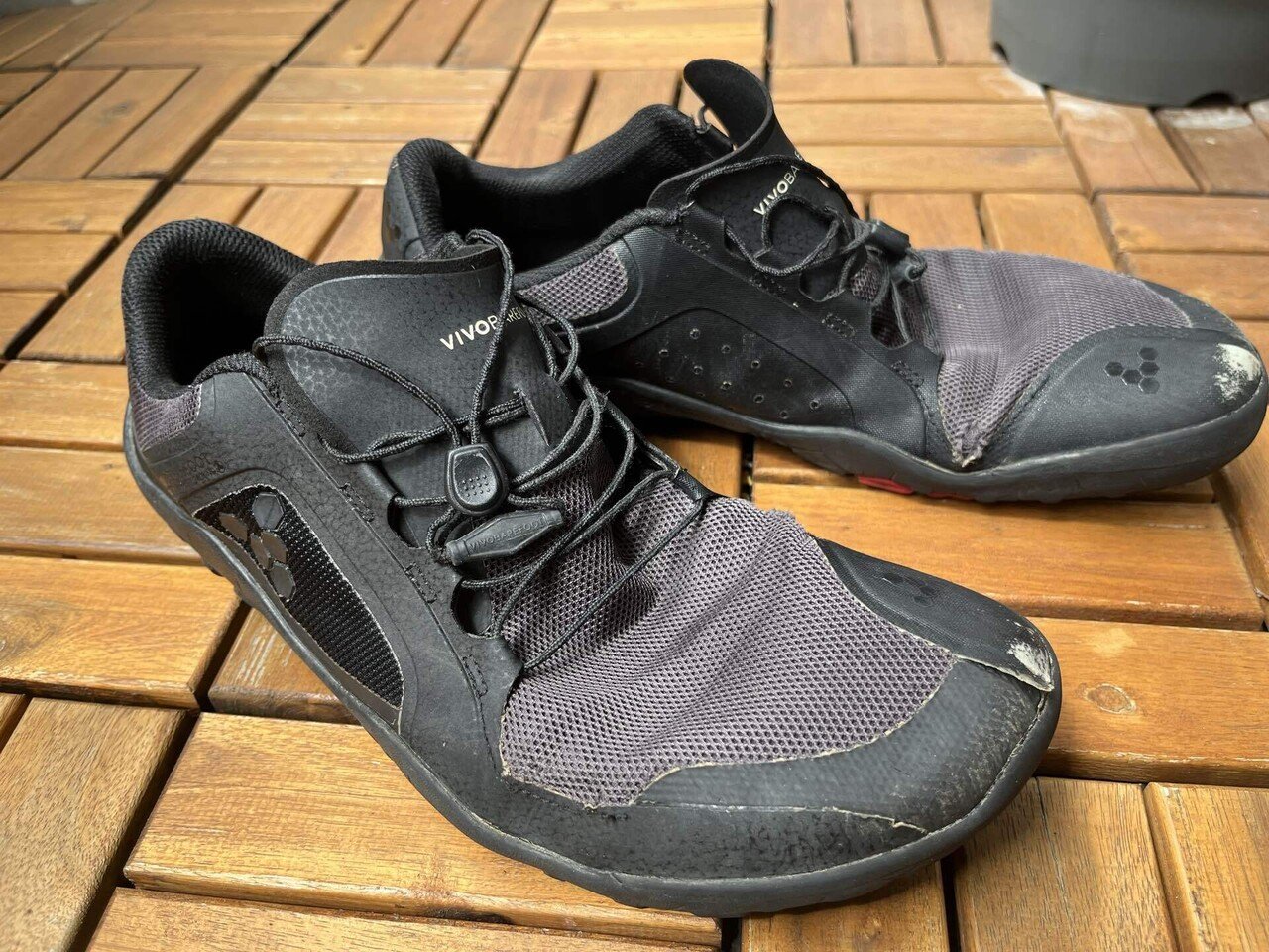 VIVOBAREFOOT】気づけばVivoでアルプス行くようになった話（プライマス