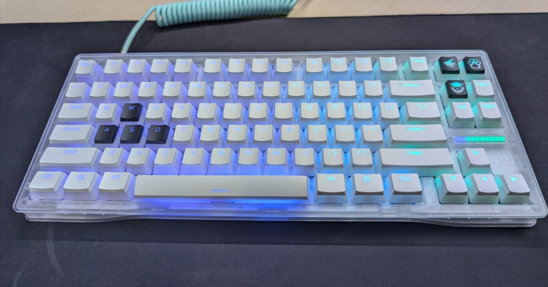 Wooting 80HE その2 ～TTC天王磁軸 电竞版を添えて～｜ふじえだ