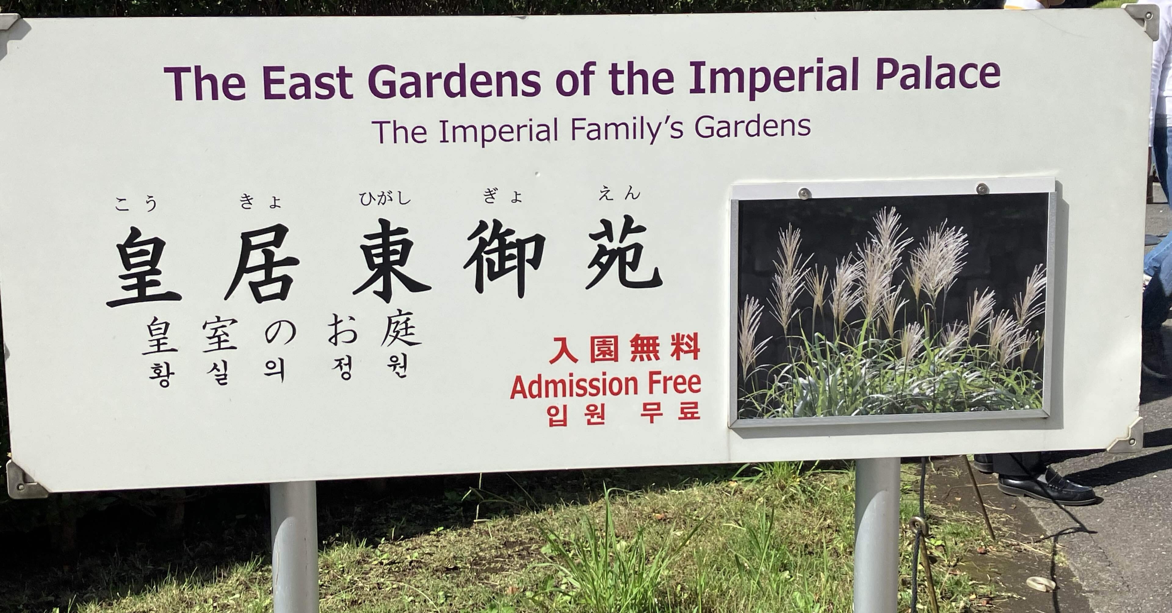 皇居東御苑のモグラ - 2024/10/20 -｜猿田夏子