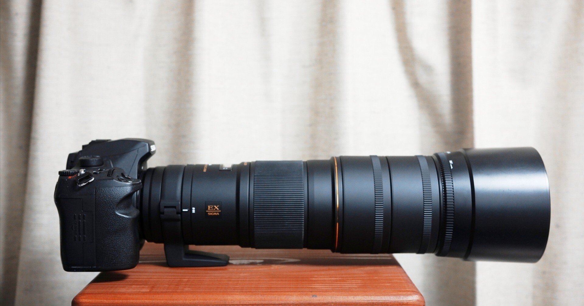 レビュー】SIGMAで一番売れてない？ 望遠マクロの真髄 APO MACRO 180mm