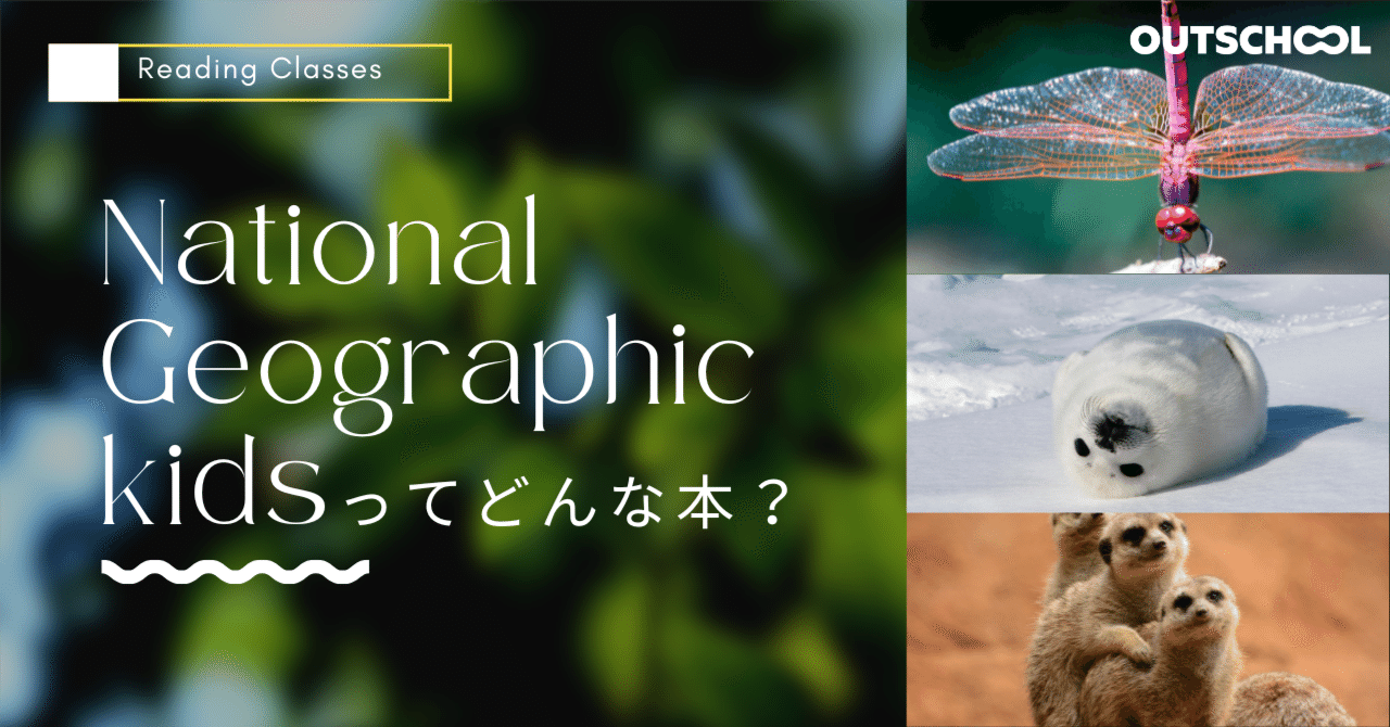 a335f8ba46dfb3a224915f4cbb8471