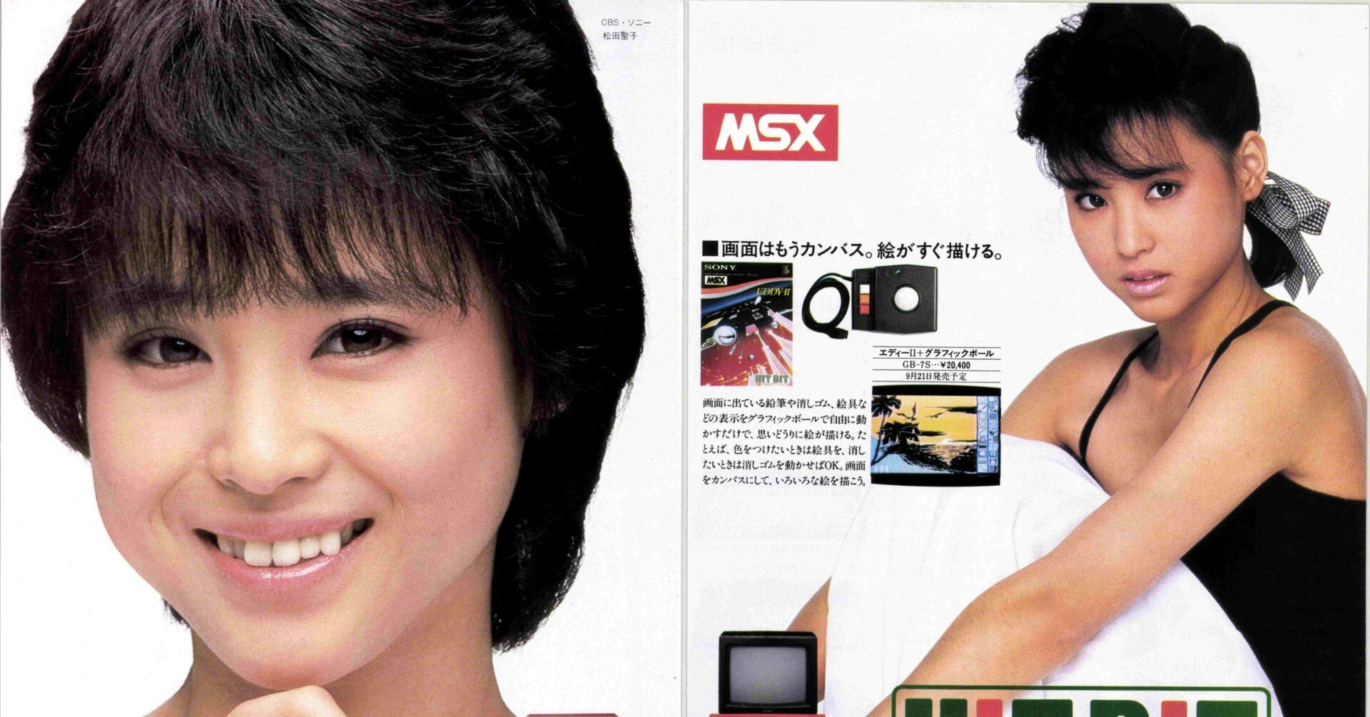 MSX美少女図鑑①松田聖子さん・ソニーHiTBiT｜サイボーグMSX