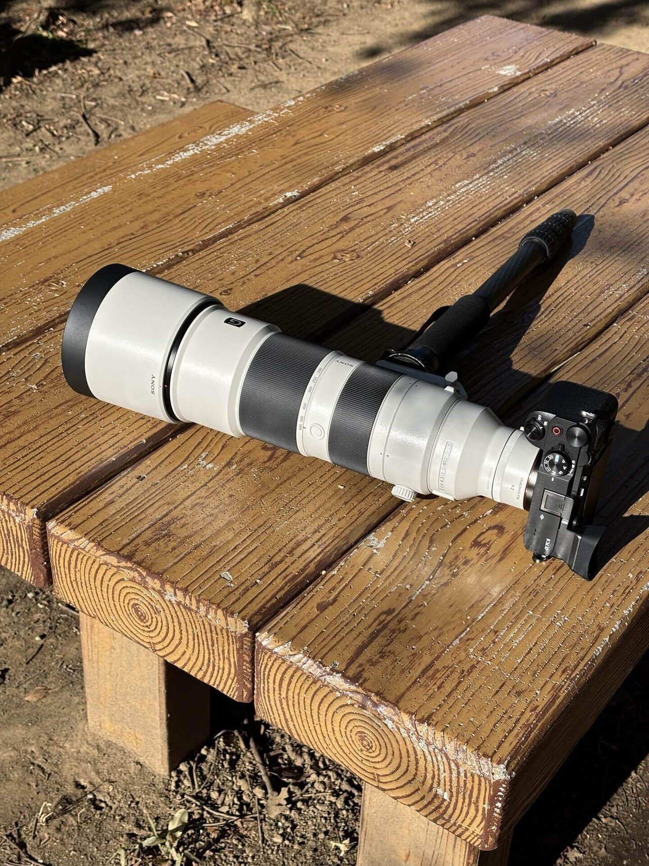 間違いばかりのカメラ選び②】すぐに超望遠レンズを買う人｜Alice_photolog