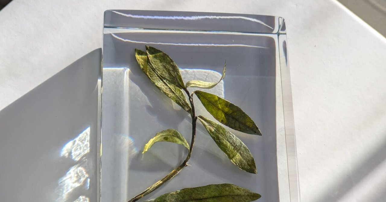 学術標本】種名ニホンジカ 胎児（♂） エタノール浸漬標本 頭胴長約