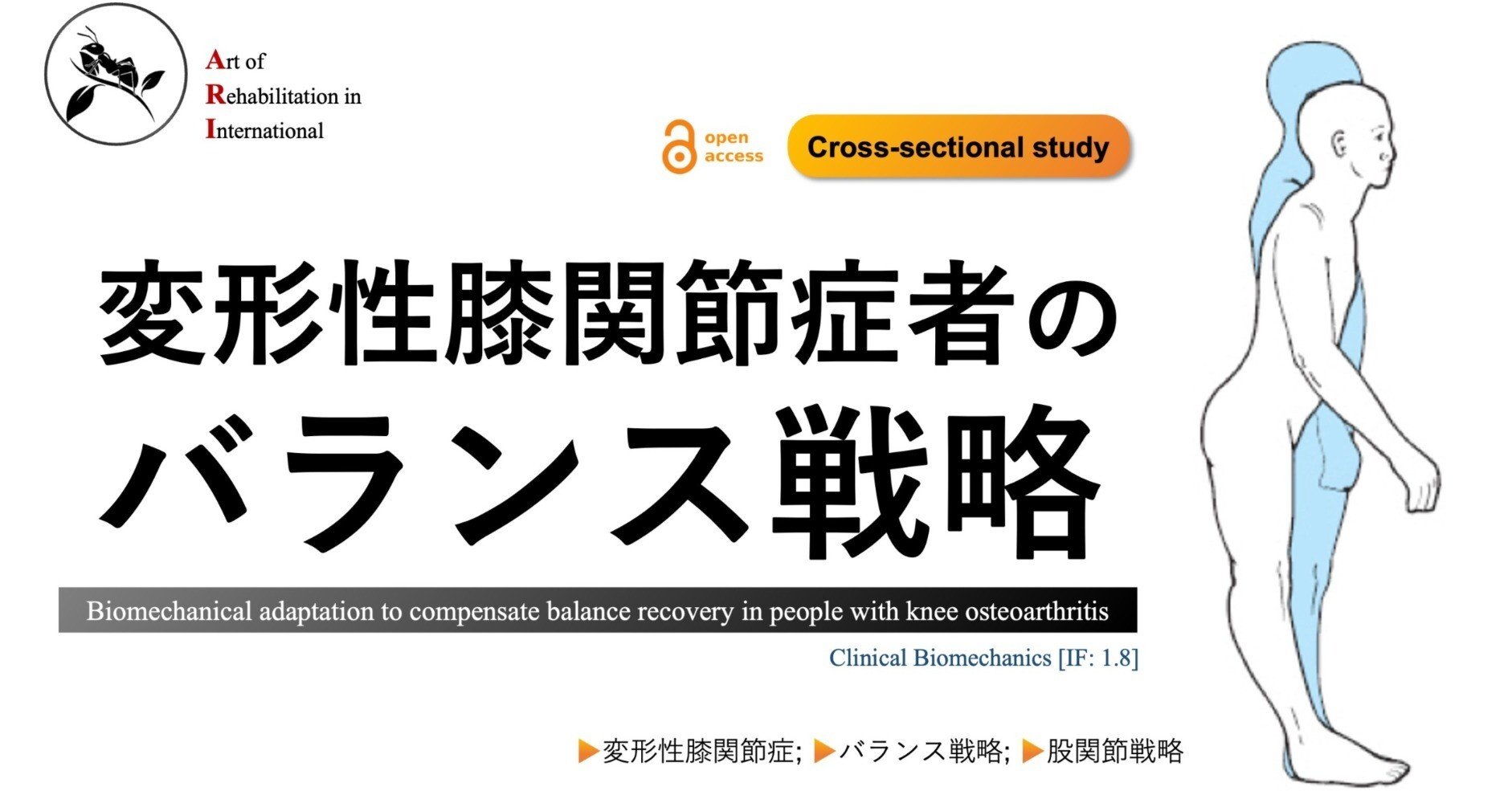 変形性膝関節症者のバランス戦略｜Super Human | 理学療法士／保健学