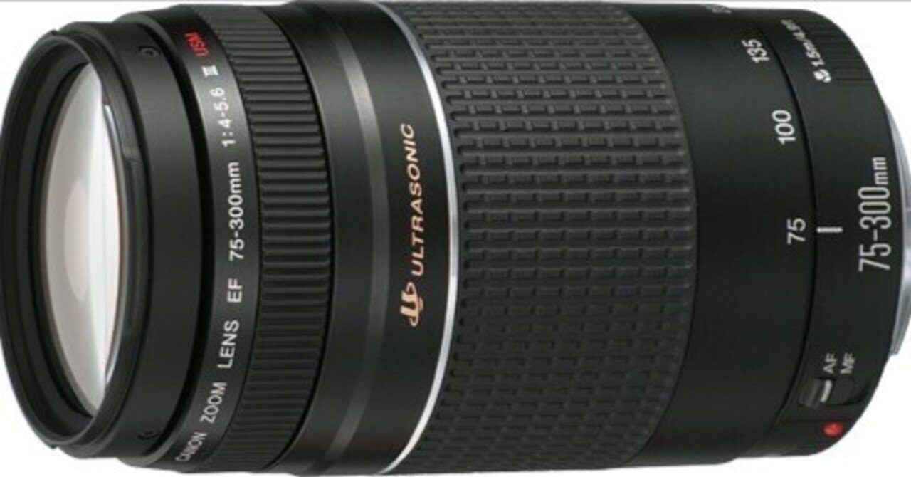 キャノン Canon EF 75-300mm 望遠レンズ 遠くの春も、すぐそばに
