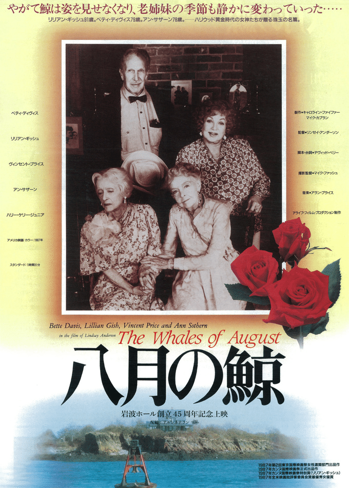 mol-74 八月の映画 CD mol-74 八月の映画 mol-74 八月の映画 CD