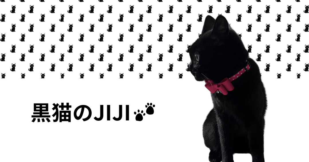 黒猫ジジちゃん｜川野えつこ:小郡市議会議員