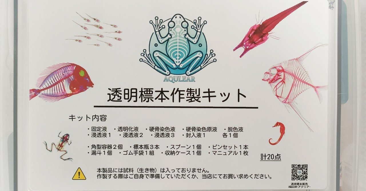 透明標本作製キット】(上級) 20点 自由研究 学習教材 改良版 透明標本