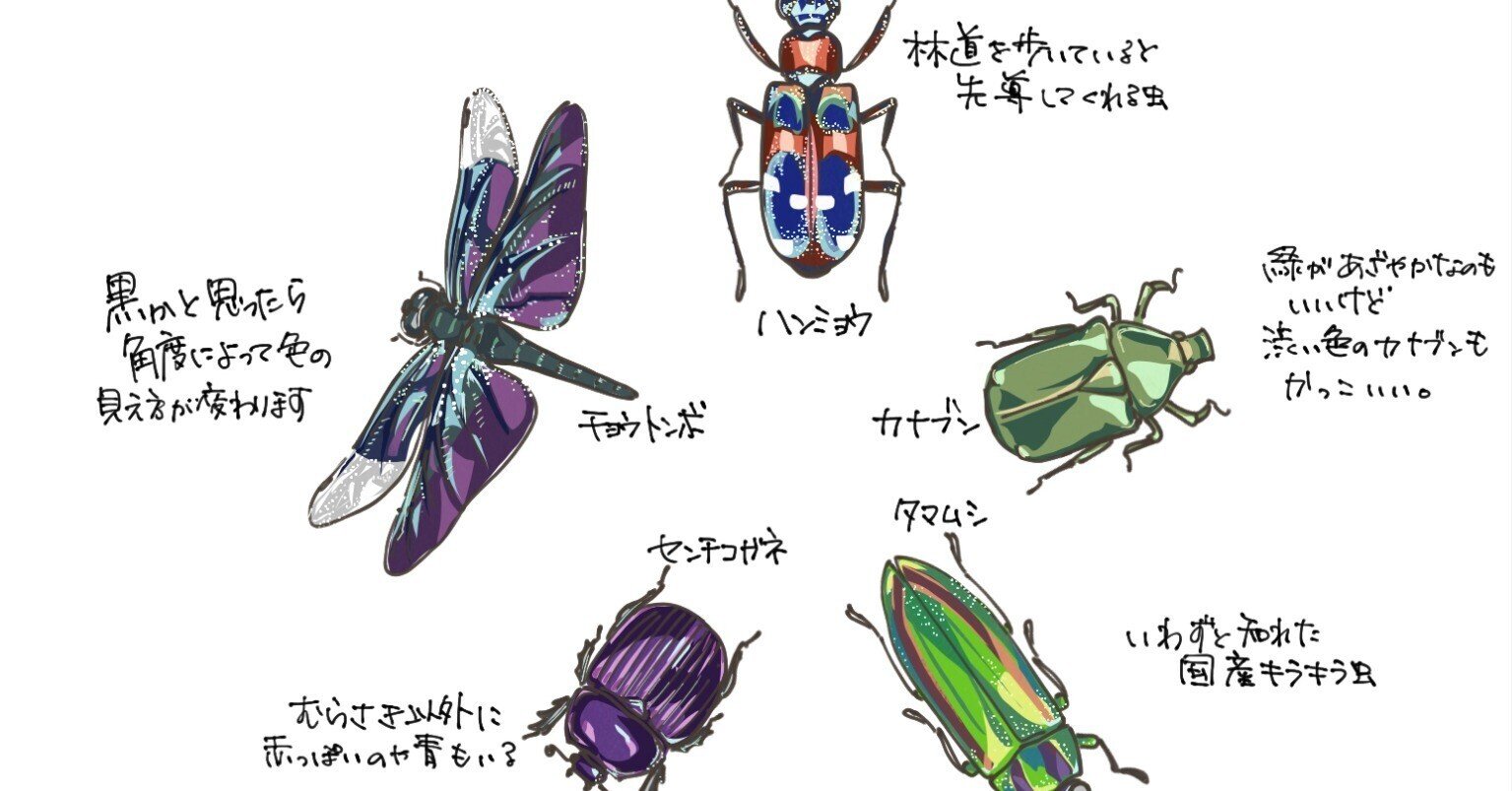 日本の夏を彩るキラキラした虫｜くますけ｜自然ガイド・クリエイター