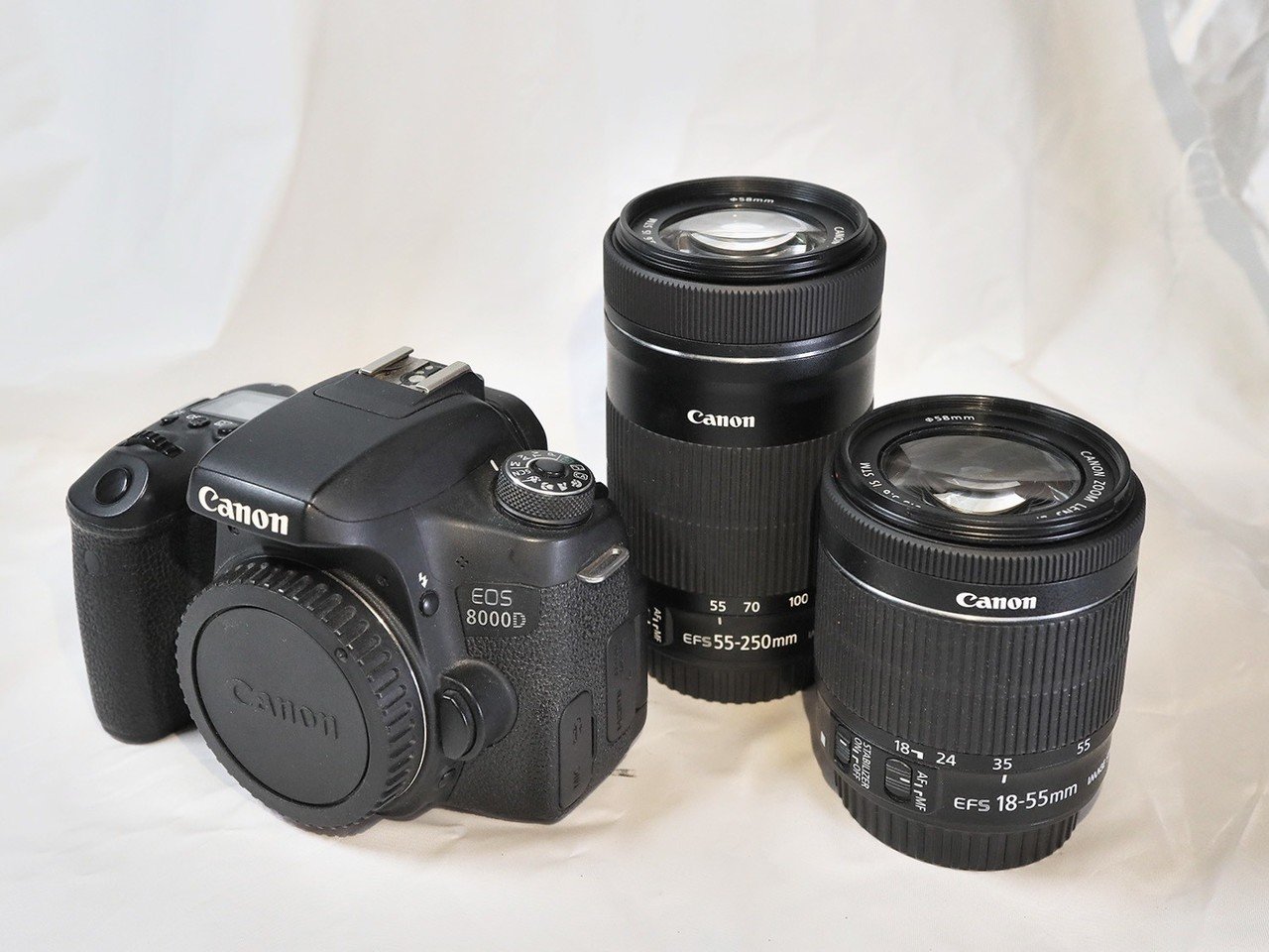 Canon EOS 8000D (2015年～)｜シュワイPのブログ