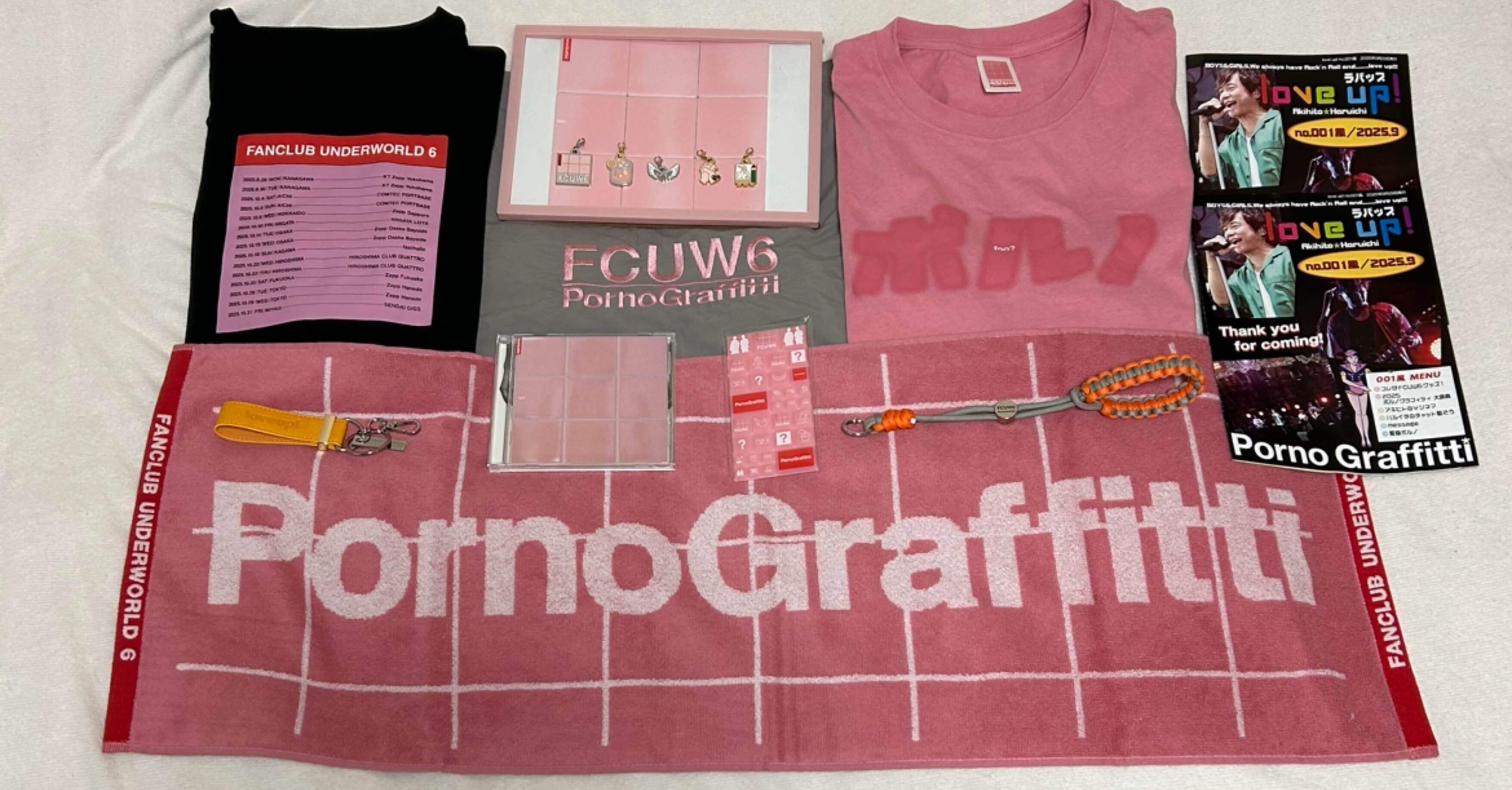 101）ポルノグラフィティ ・「FCUW6」in Zepp大阪｜カモミール19