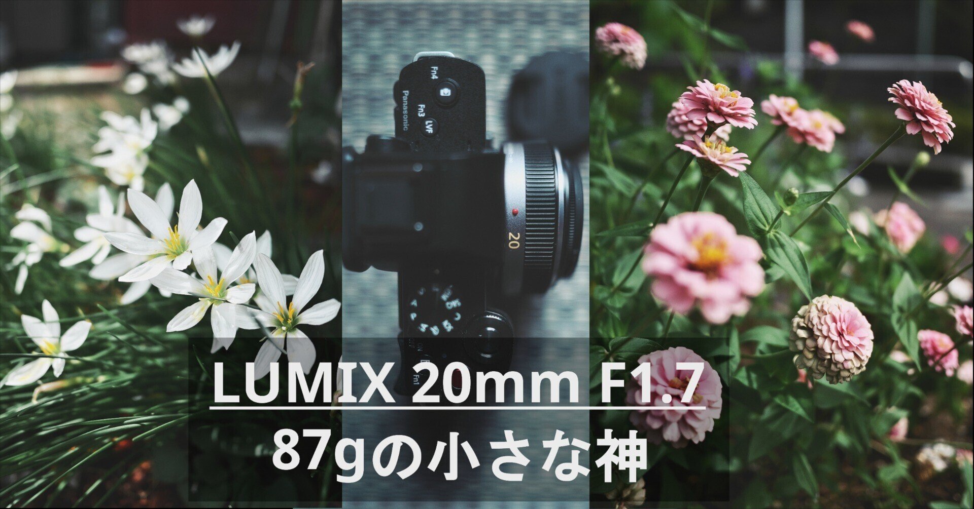 87gの小さな神 LUMIX 20mm F1.7｜大CAMERA-レビュー、気になること-