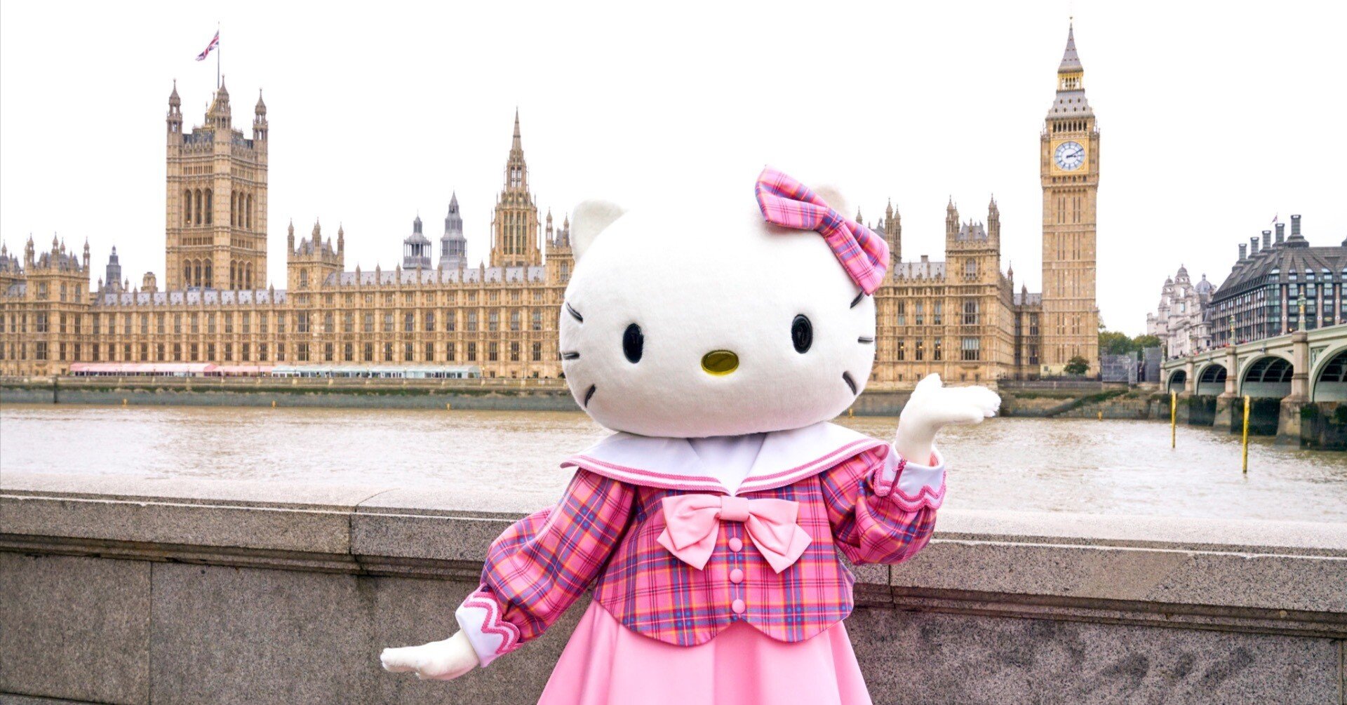 64f8031e1672350658c22de13f909d