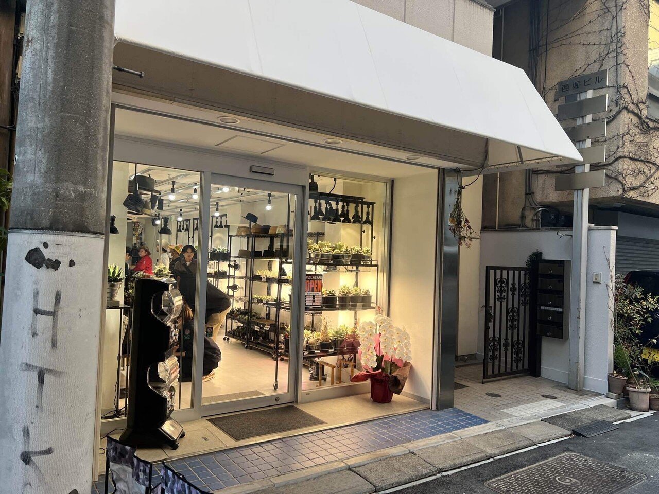 2025年アガベ関連イベント記録｜mare_agave