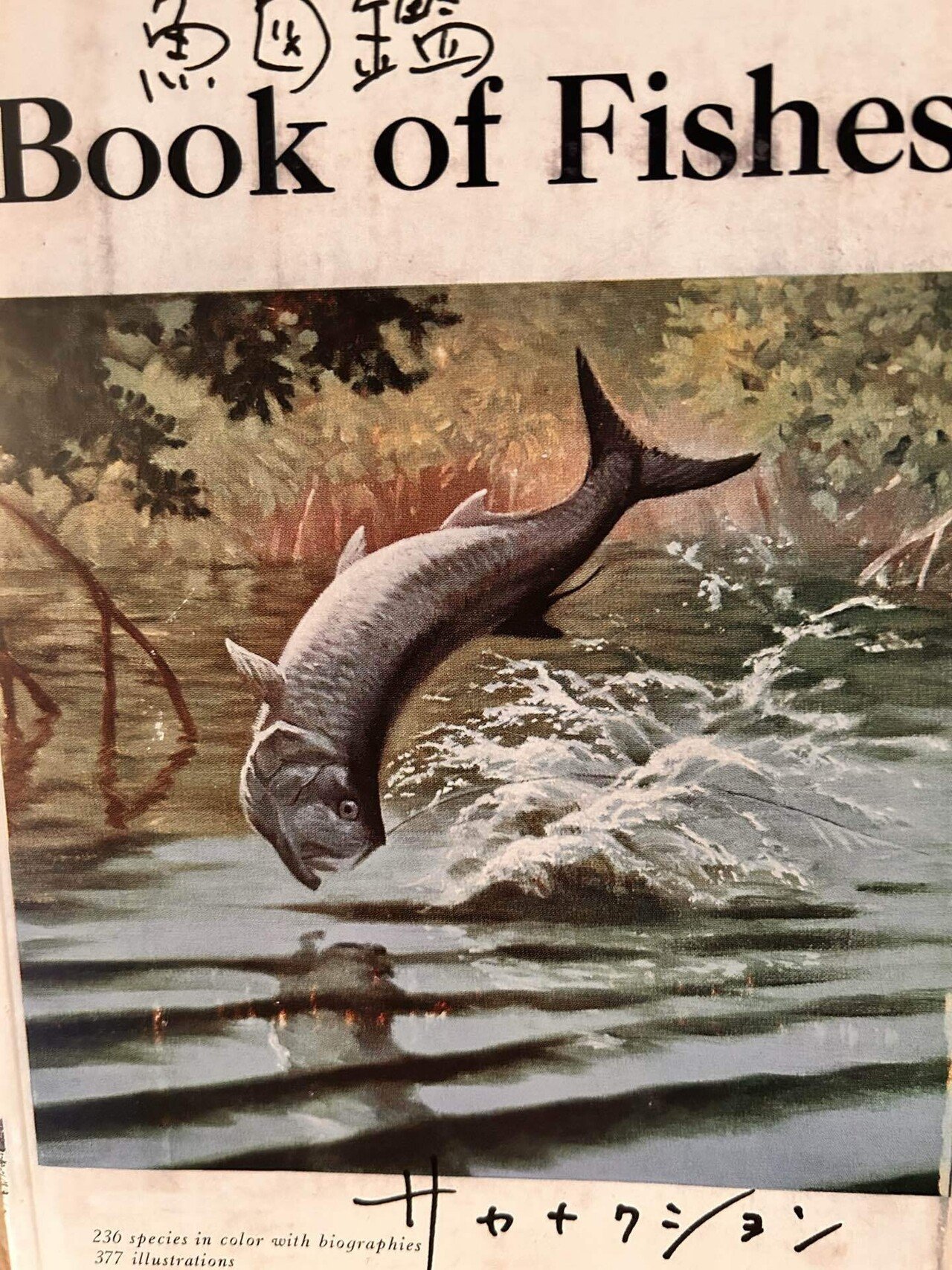 浅瀬を泳いでいたら、いつのまにやら深海へと惹き込まれ。｜ピッコロ