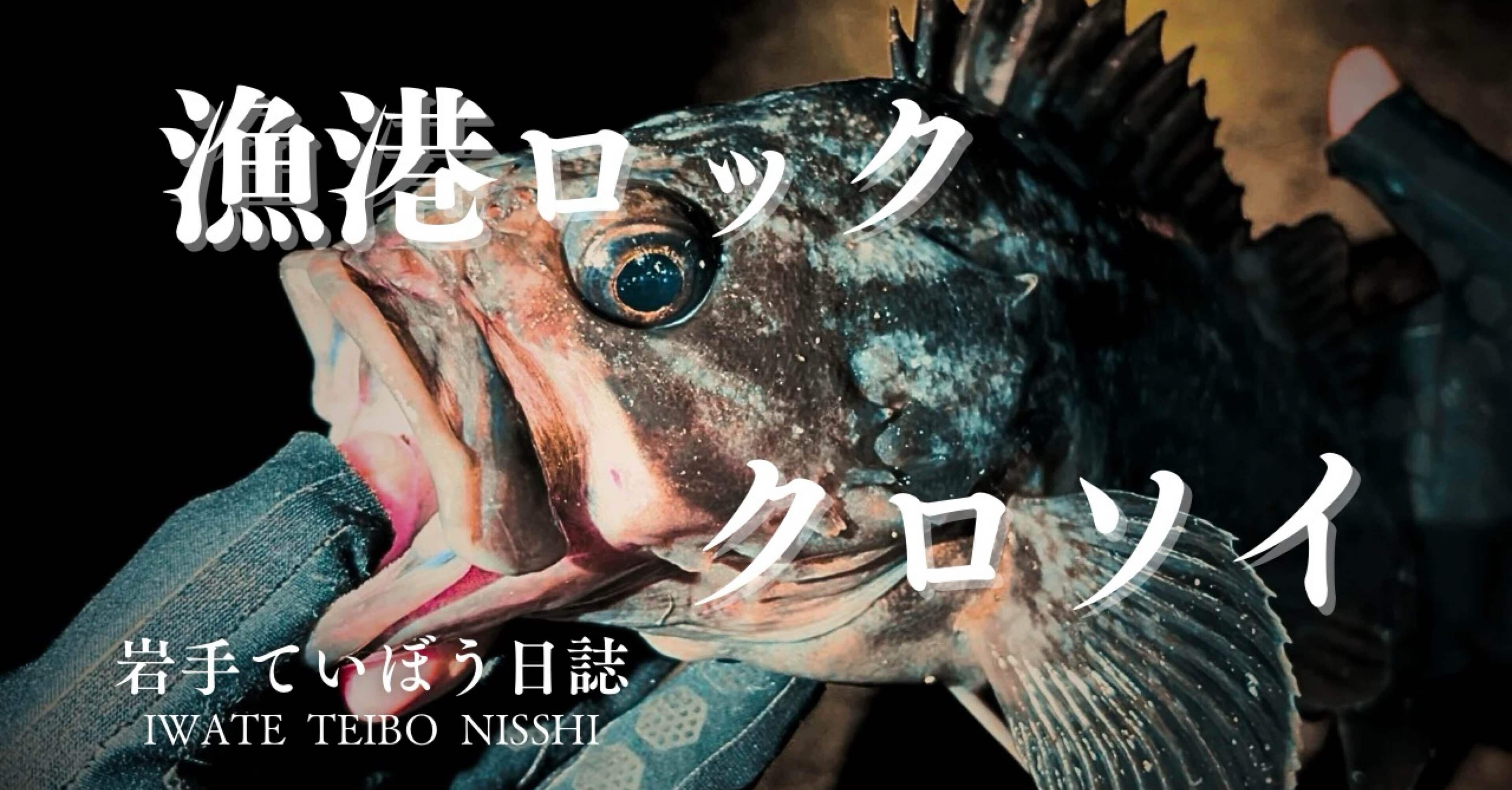 山田町】強烈なバイト！漁港ライトロックでクロソイを狙う！ ロック