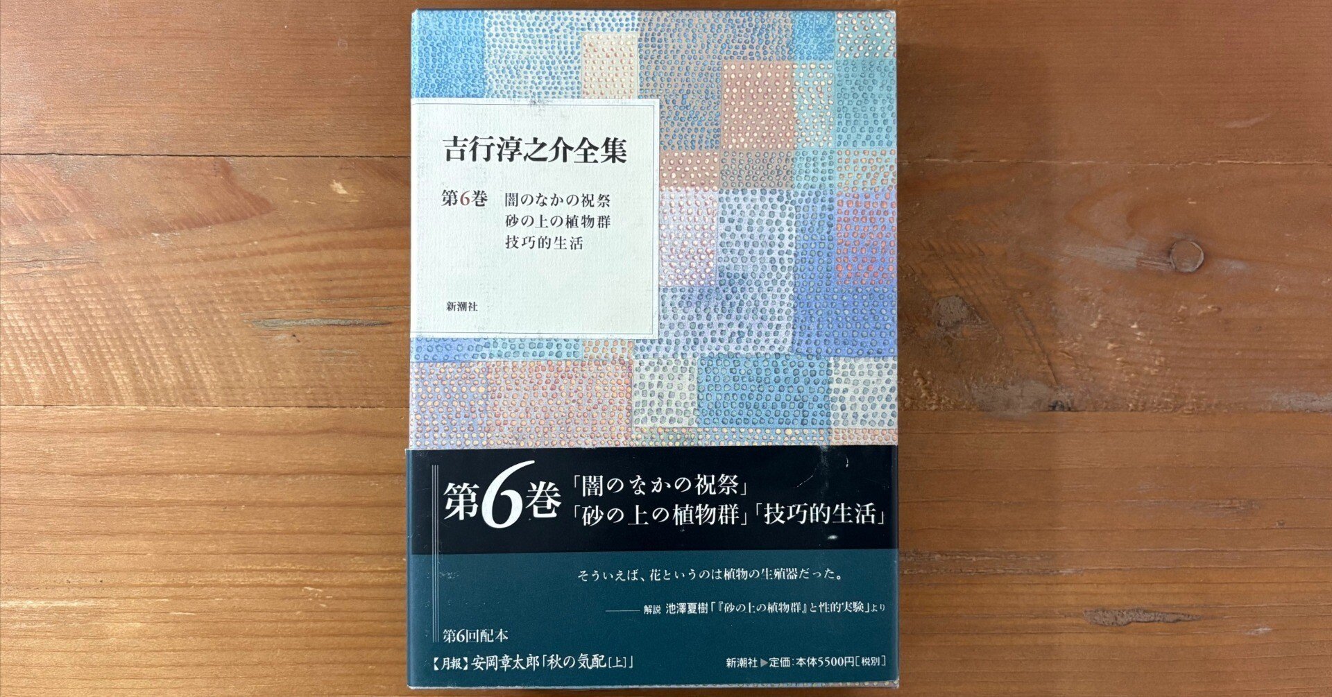 吉行淳之介の何がどう凄いのか【文章版】｜何か分かりづらいチャンネル
