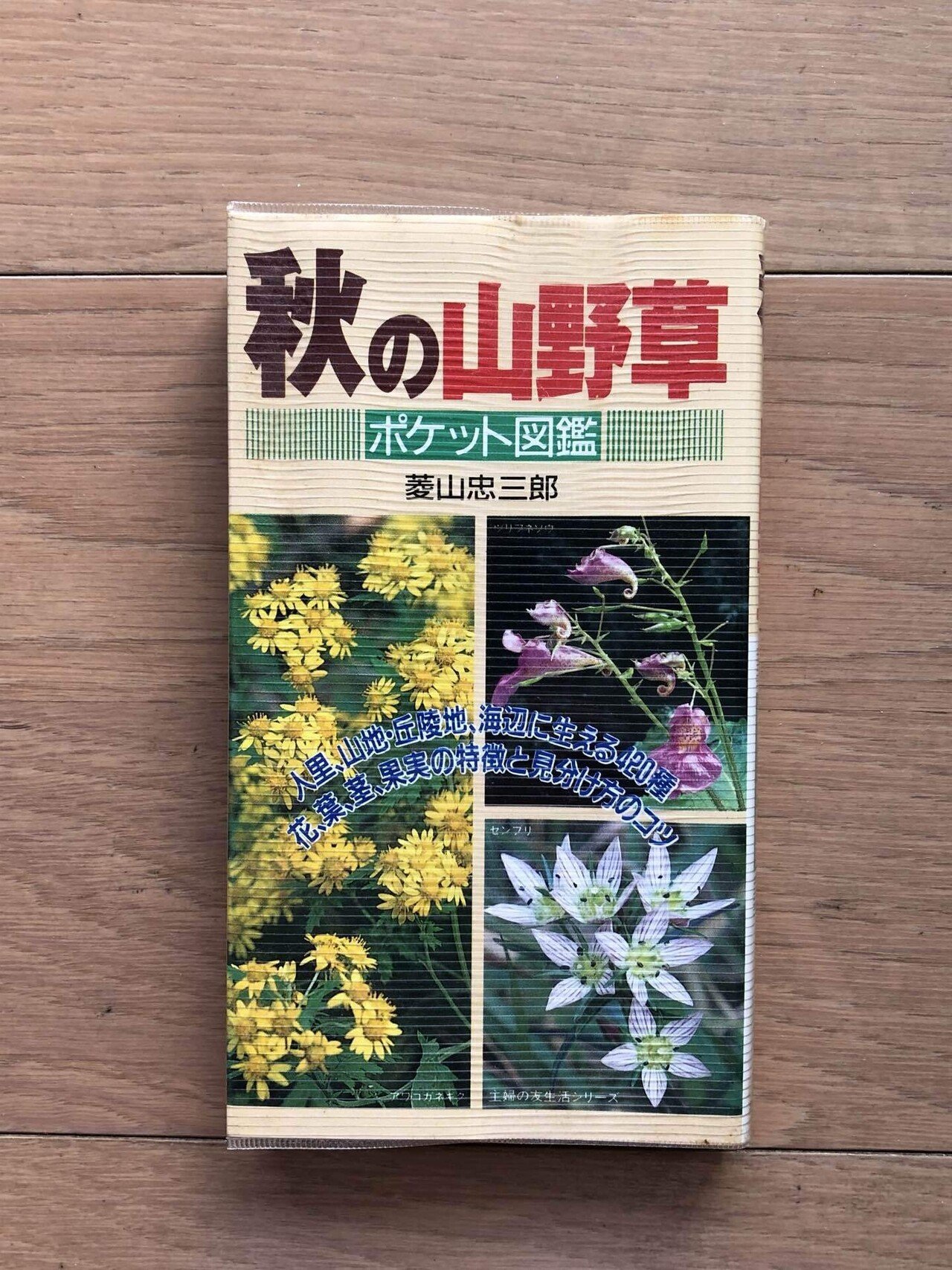 秋の山野草 ポケット図鑑｜銀漢堂書林