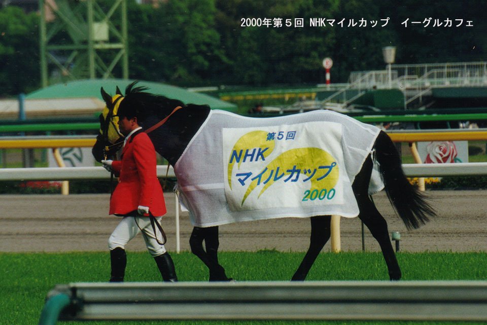 NHKマイルカップ：蔵出し写真2｜馬画人 (まがじん)