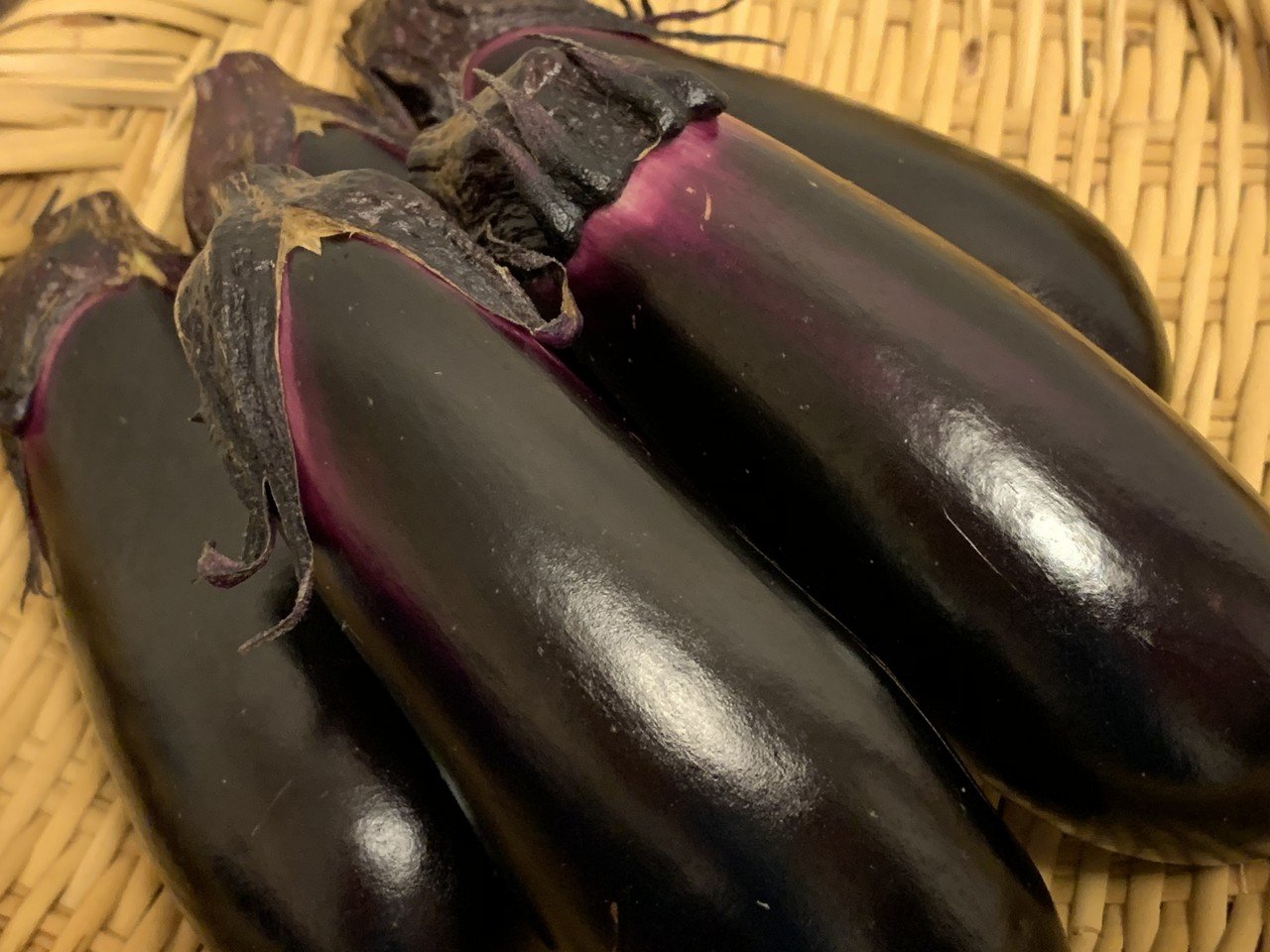 黒いダイヤ【奥久慈なす】｜ジョリオ