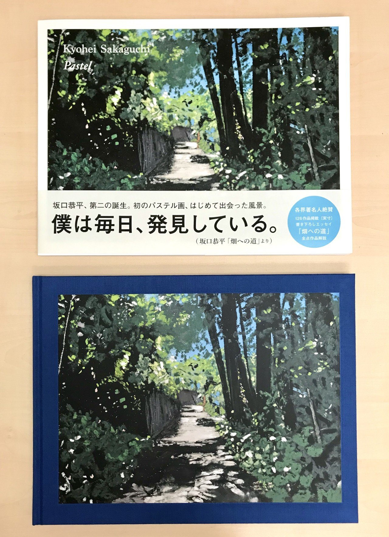 坂口恭平画集『Pastel』特装版＆通常版お取り扱い書店様のご案内｜左右社