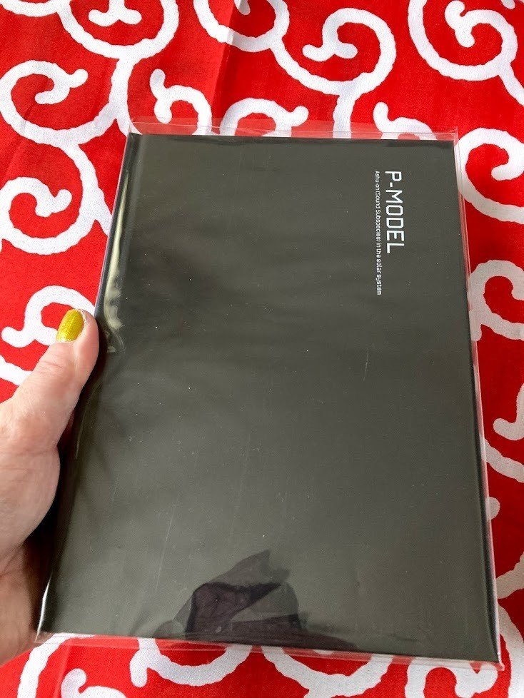 太陽系亞種音が18年越しで我が家にやってきたことについての話｜ハルコ