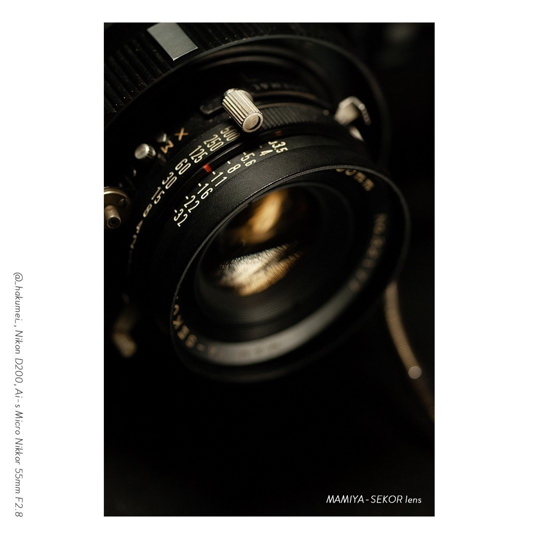 MAMIYA PRESS SUPER 23はじめの一本｜薄明