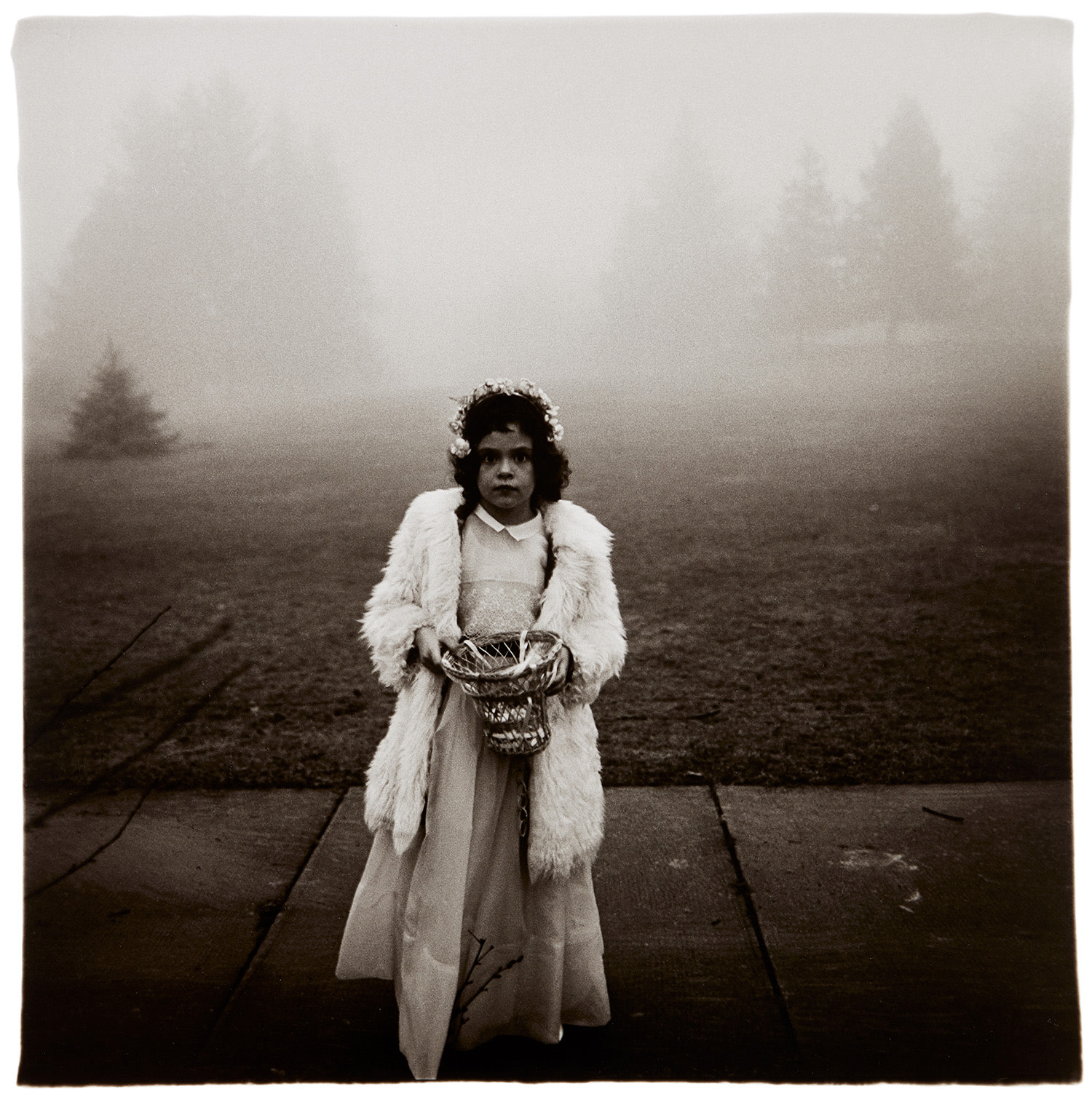 Diane Arbus Reframing Beauty: A Private Seattle Collection