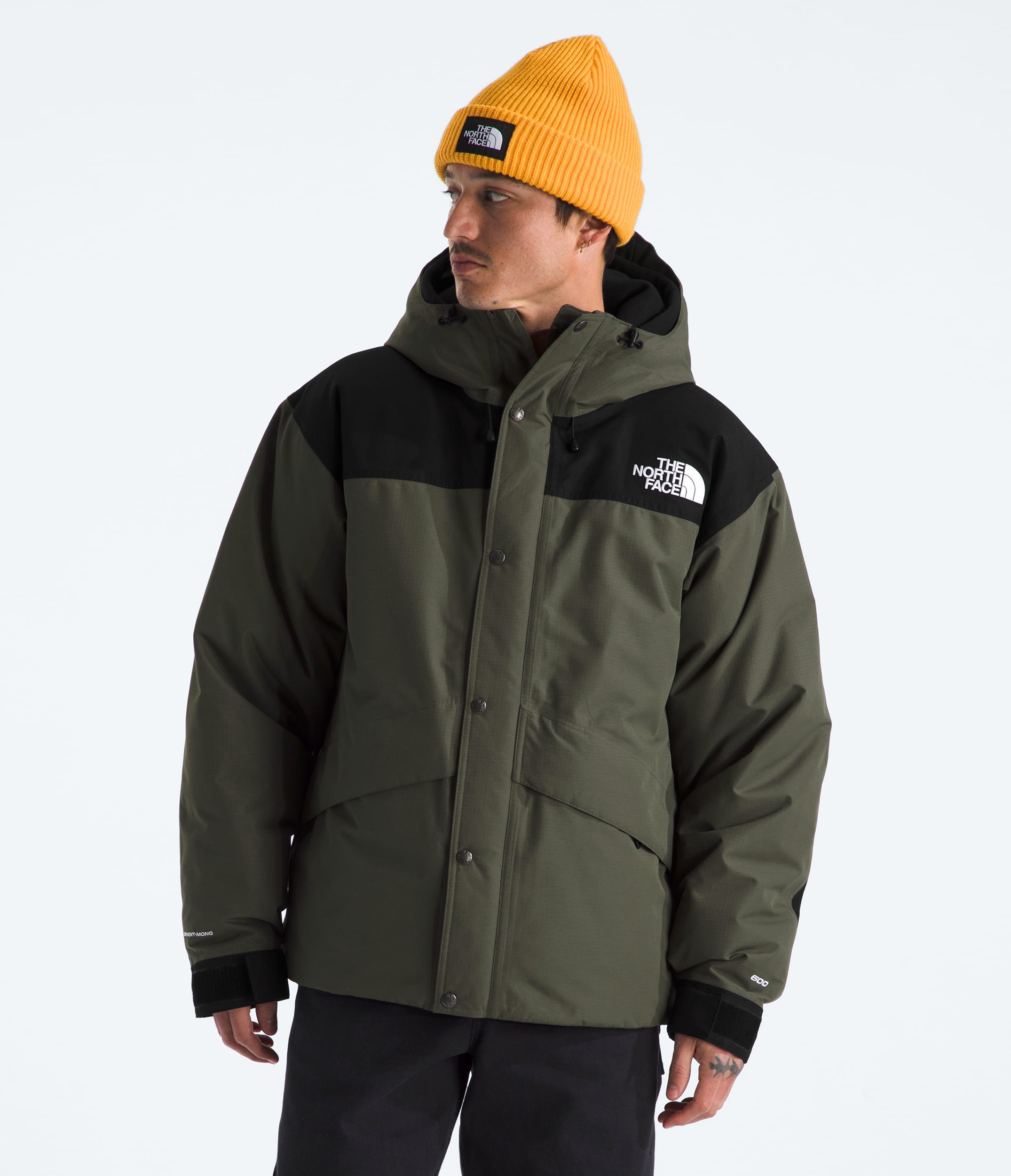 Men's Mountain Down Jacket | The North Face
