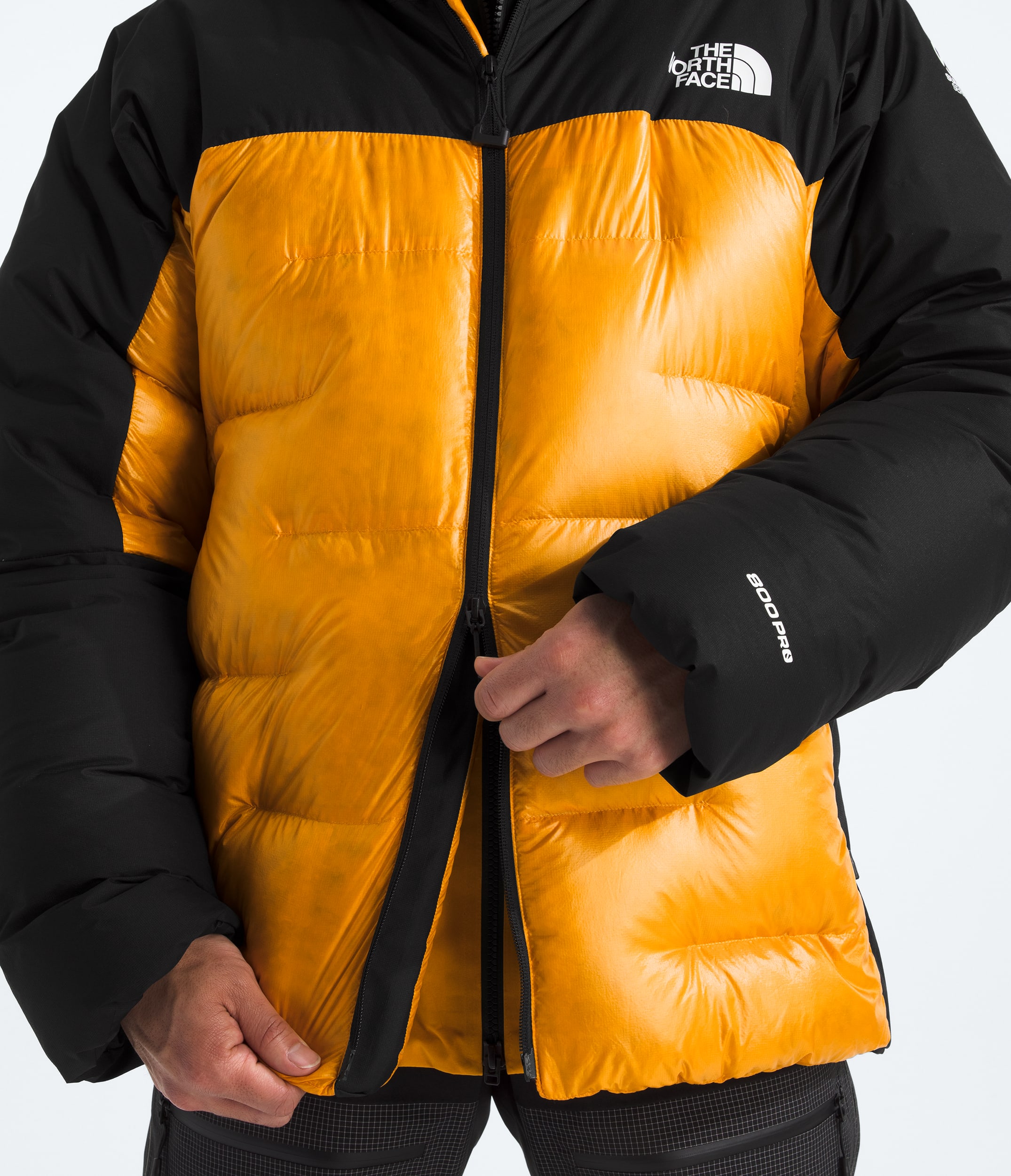 Men's Summit Series Himalayan Down Parka | The North Face