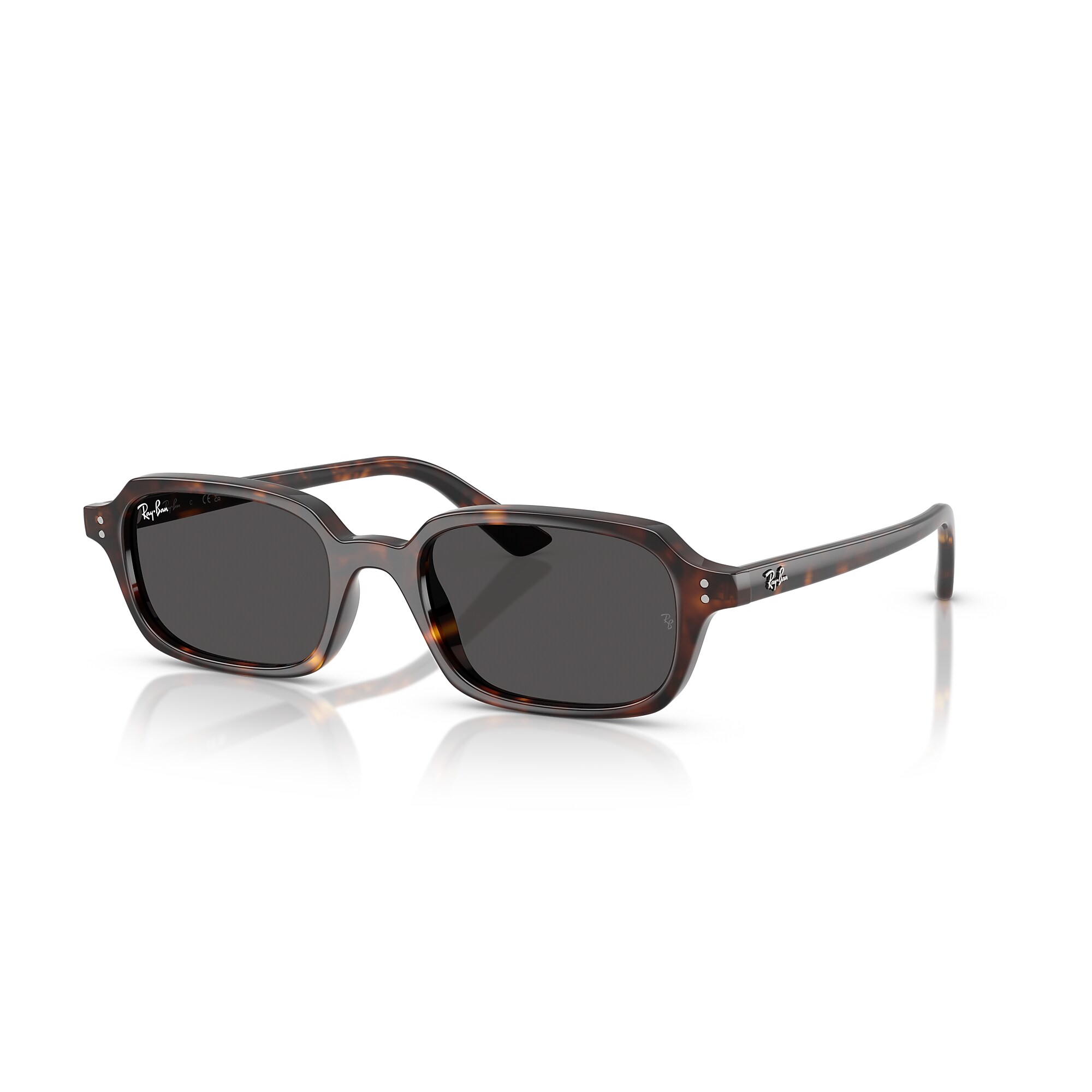 Sunglasses Ray-Ban RB4455 Zuri Bio-Based | Free Shipping | Glasses