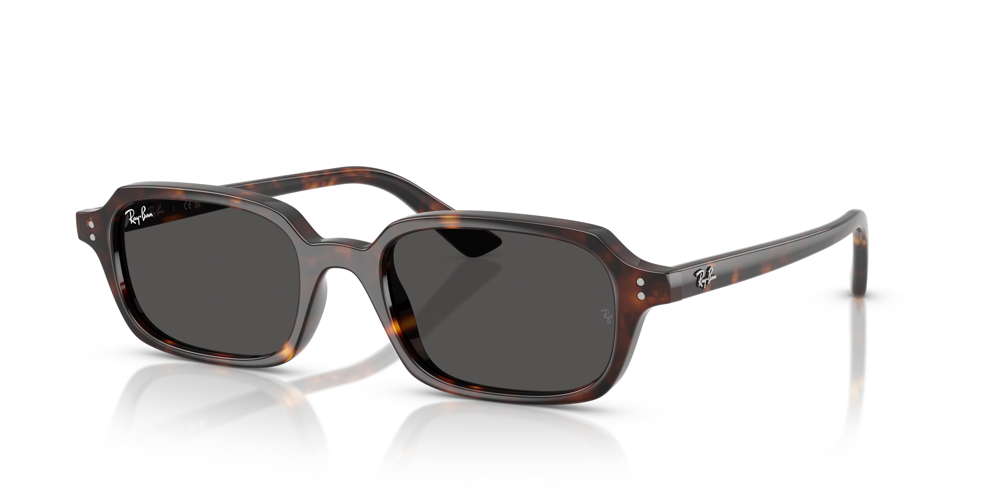 Ray-Ban RB4455 Zuri Bio-Based L (52 - 19) with Grey lenses and