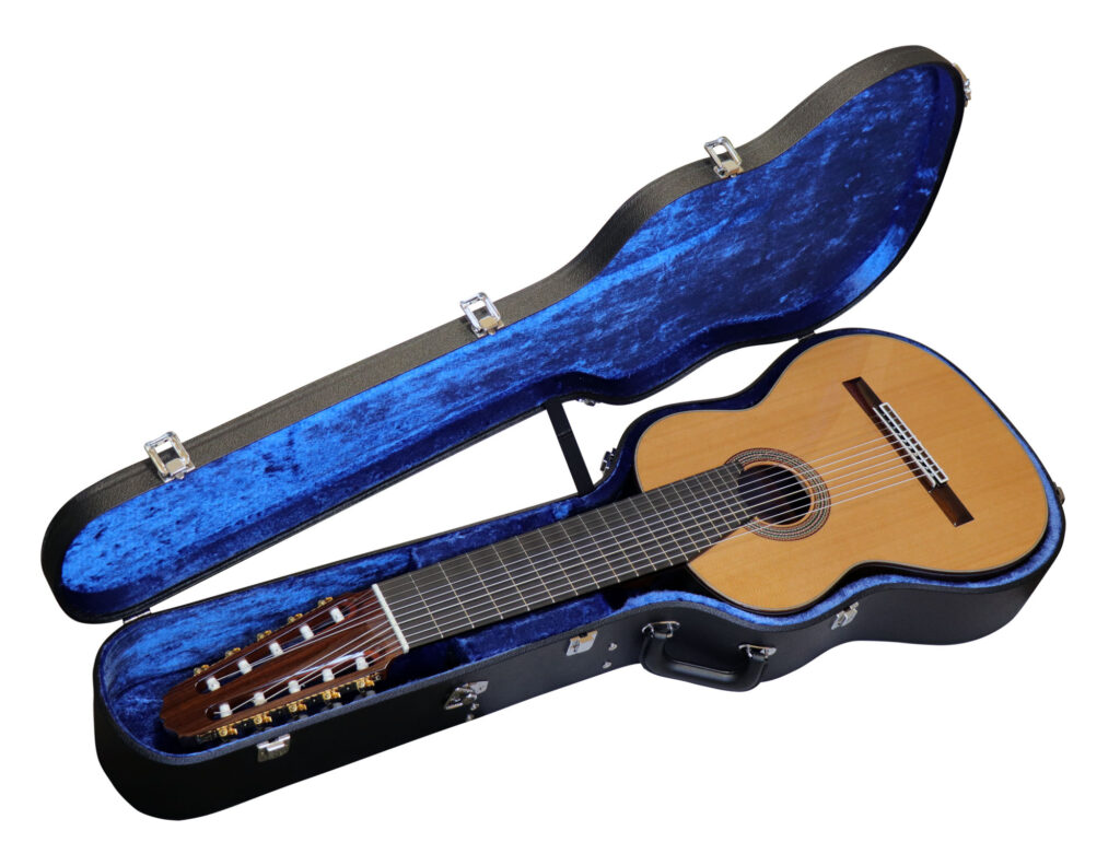 10弦＆11弦ギター用ケース - ASTURIAS