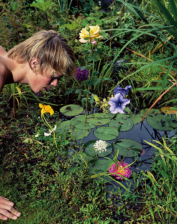 Gardens of Earthly Delight