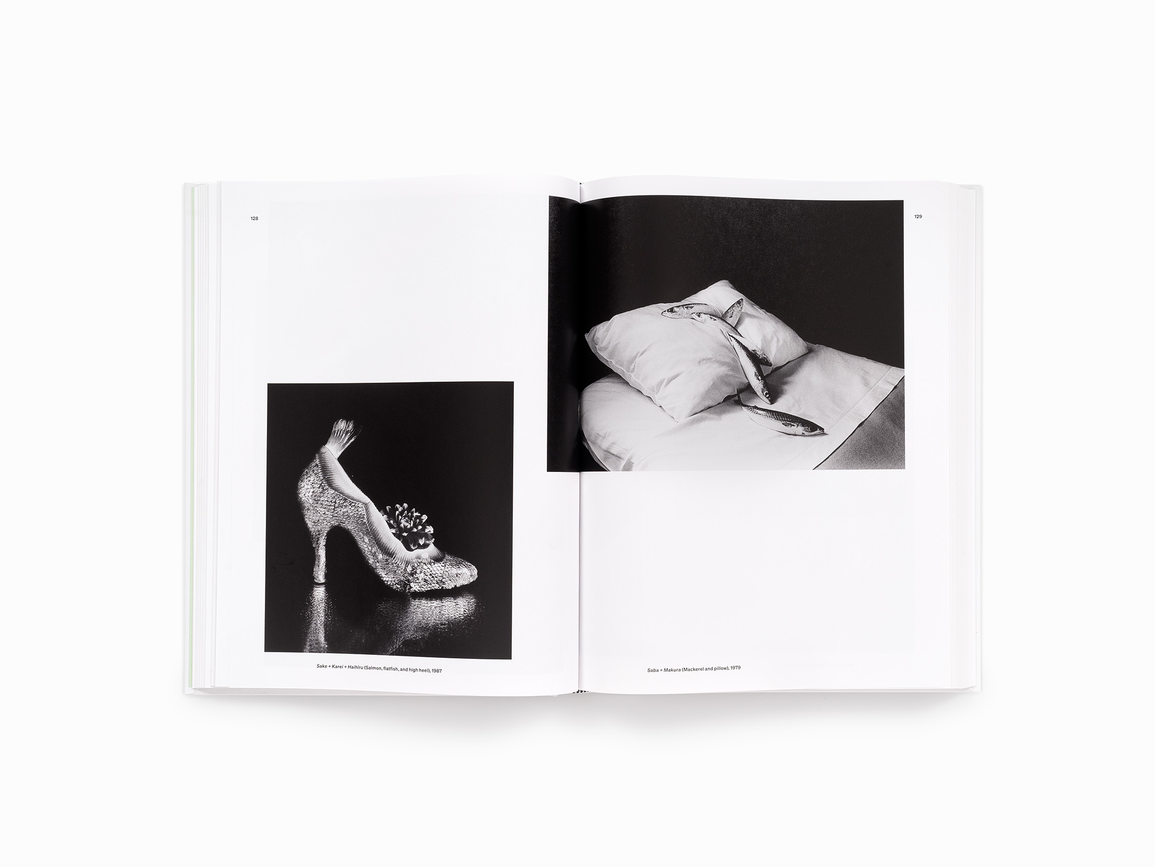 洋書 Great Photographers 1840_0467 洋書 Great Photographers